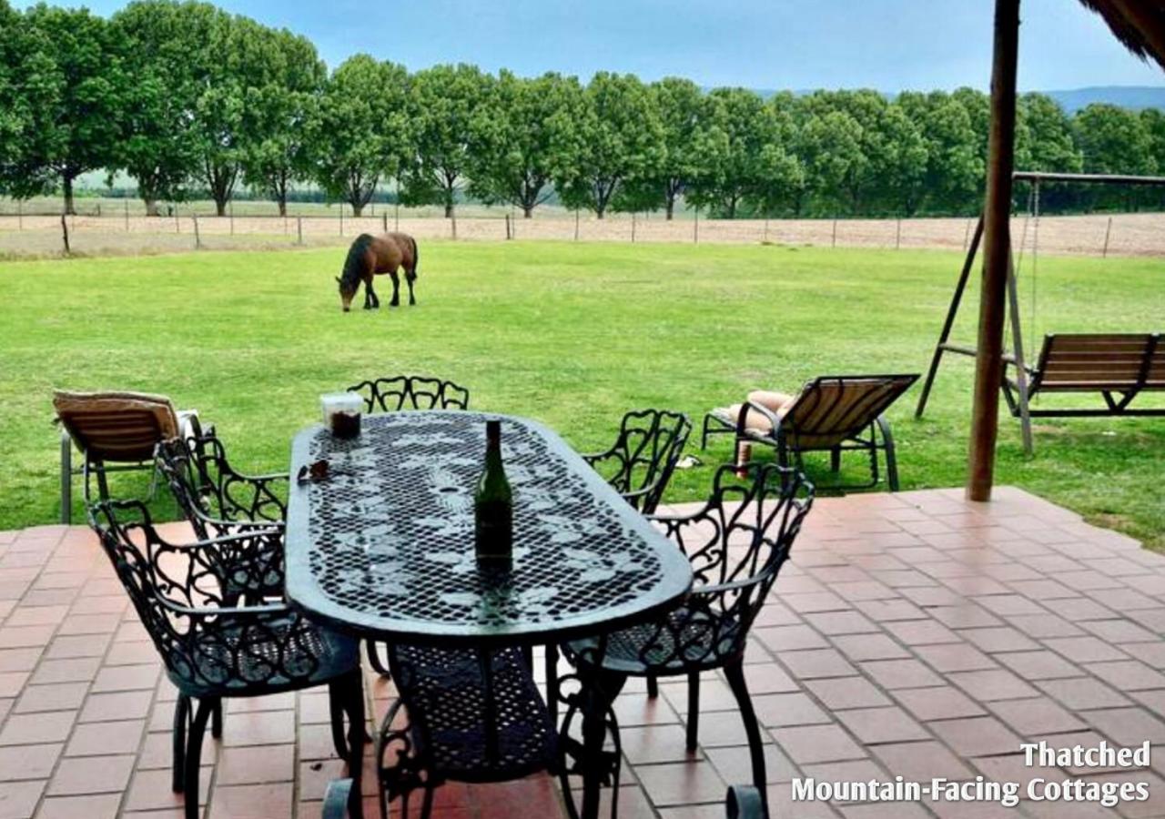 Ardmore Guest Farm