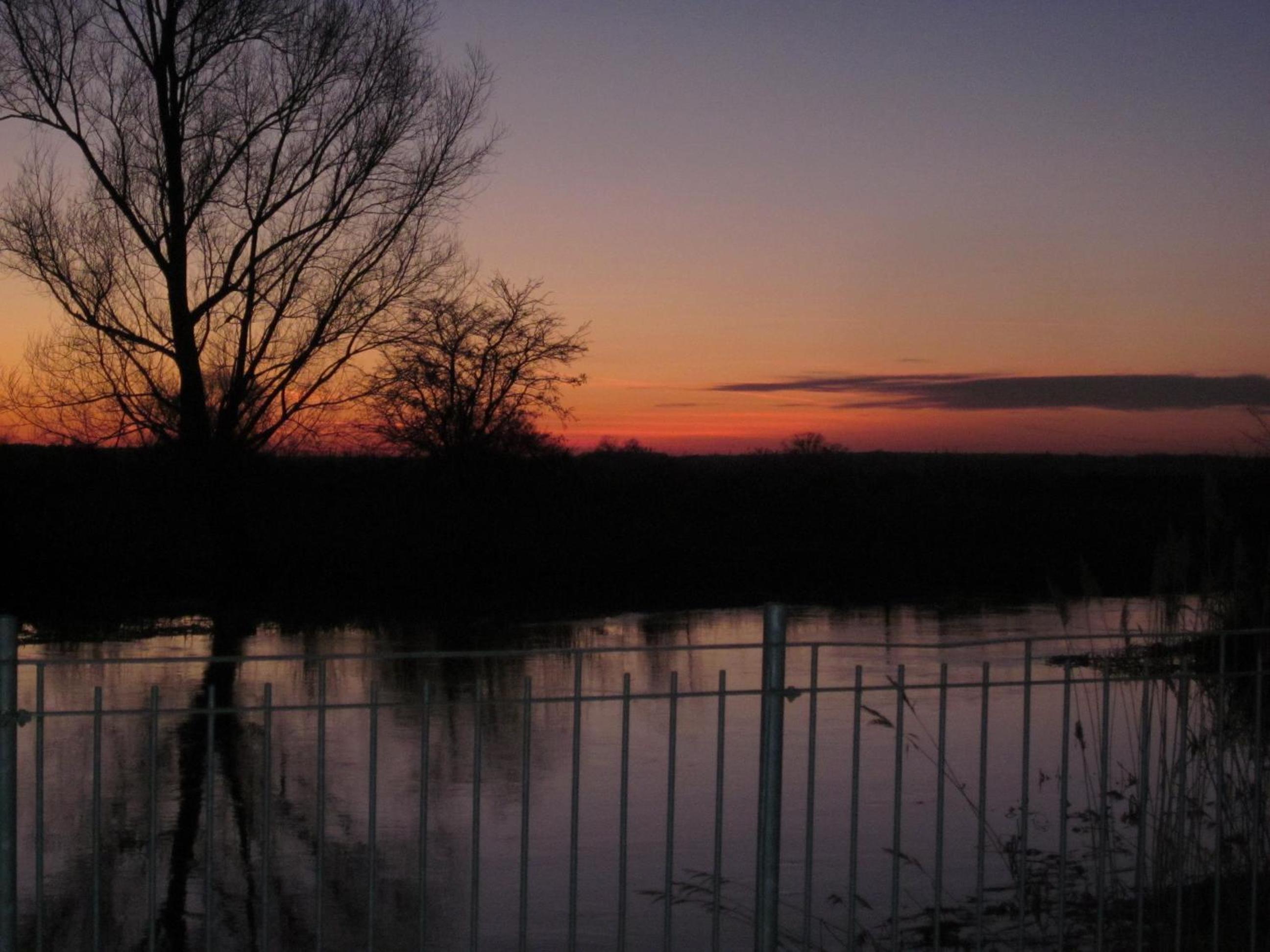 Pension "Zum Schwan" view 2