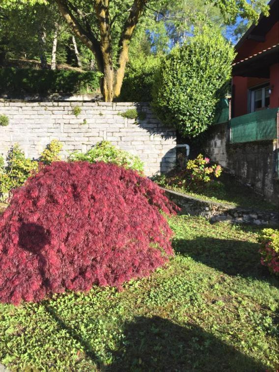 Villa Assunta view 4