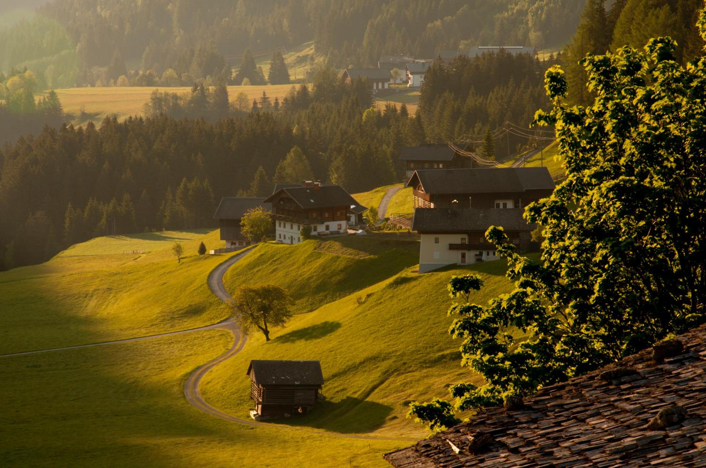 Mooserhof