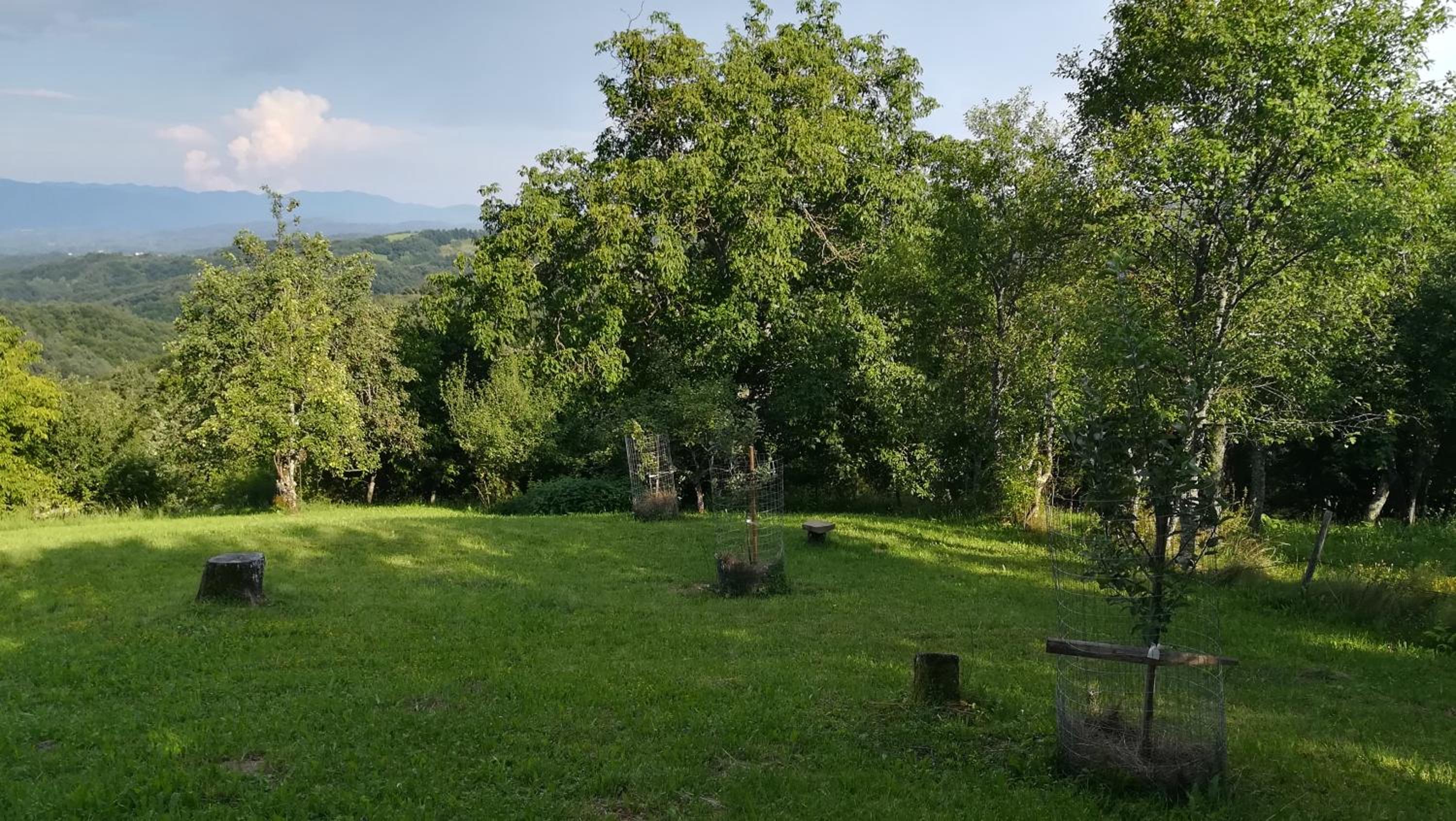 Barbara`s Village House