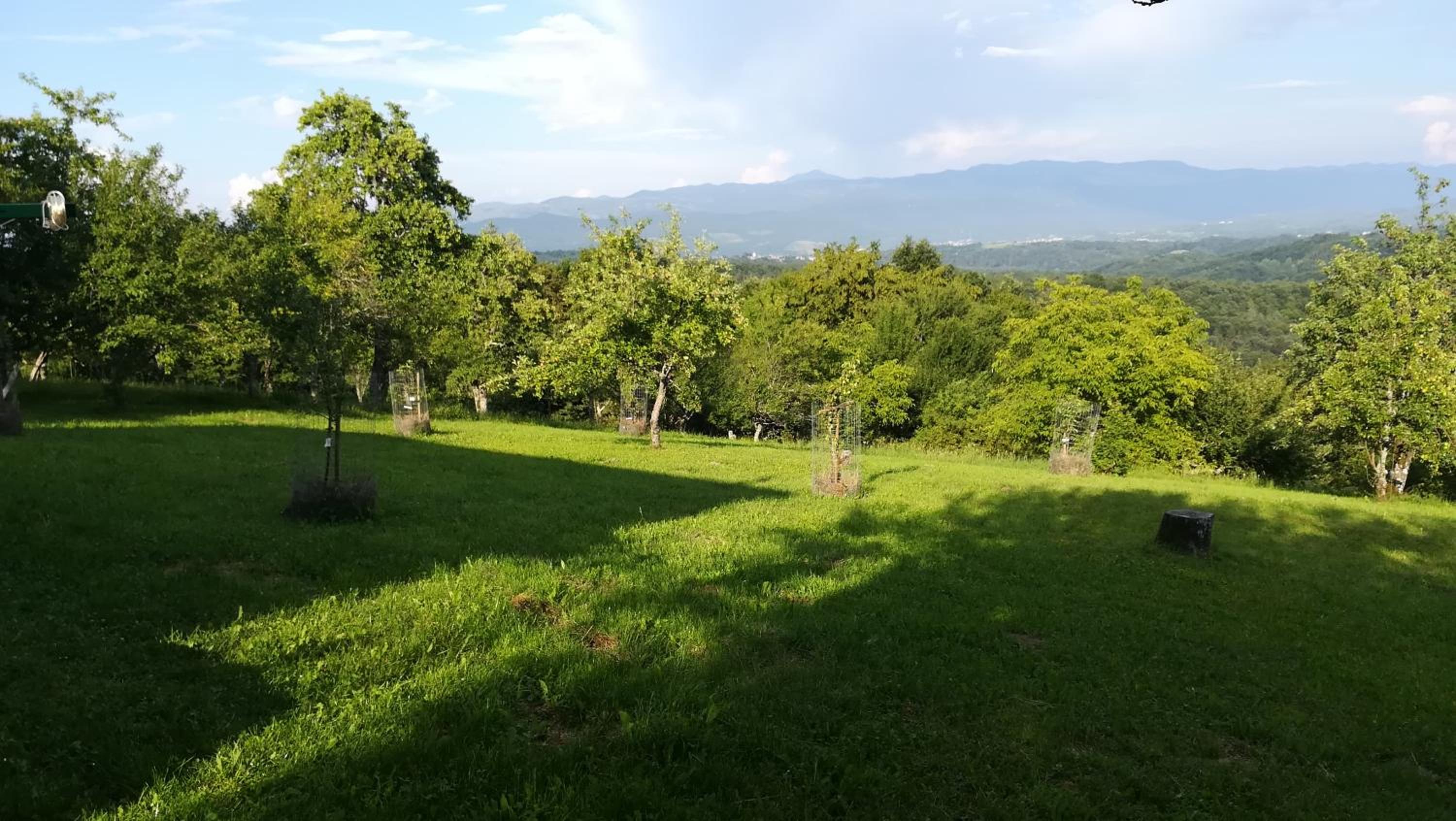 Barbara`s Village House