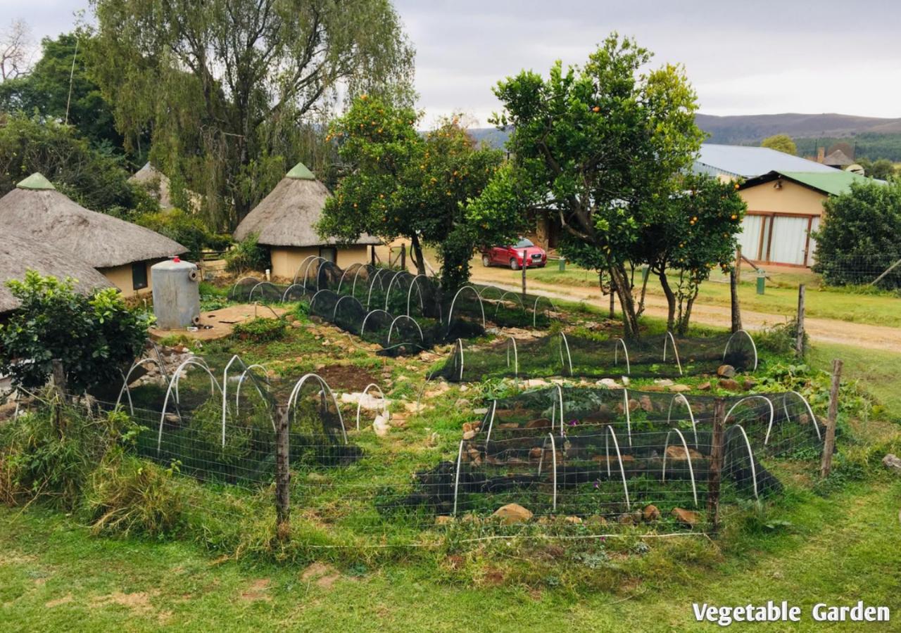 Ardmore Guest Farm