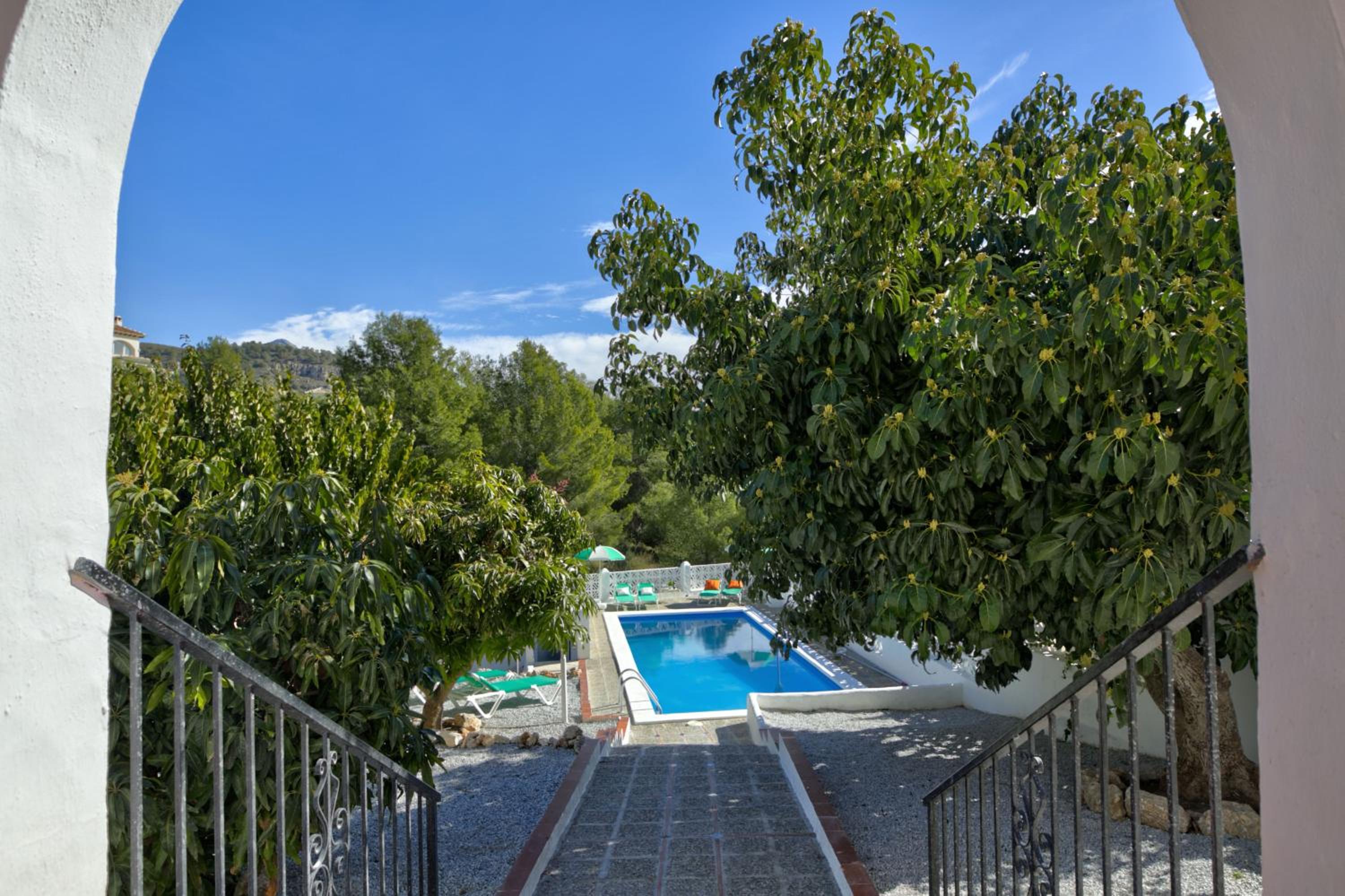 Photo 10