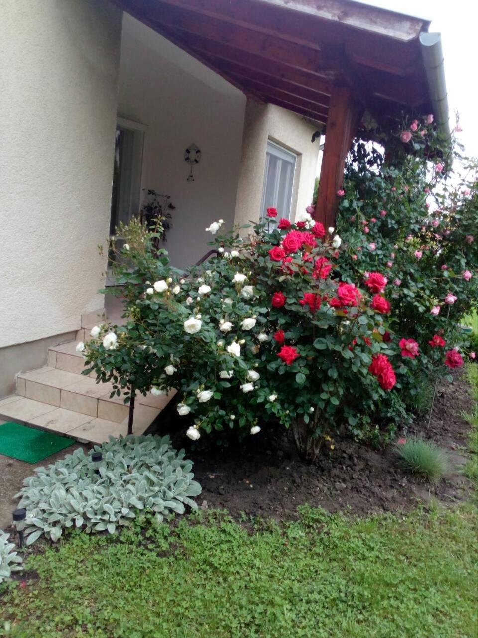 Új Élet Weekend house view 5