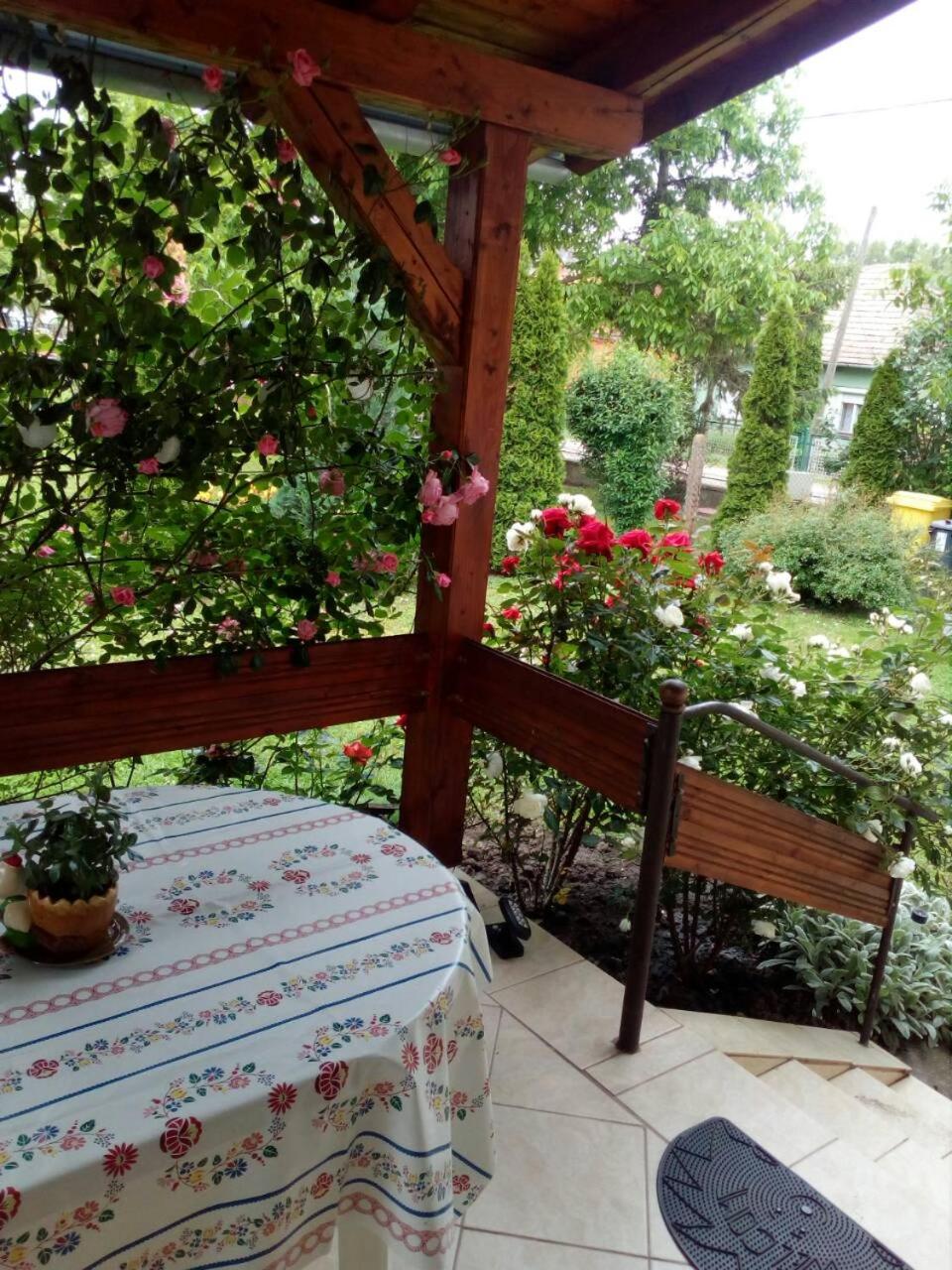 Photo 7