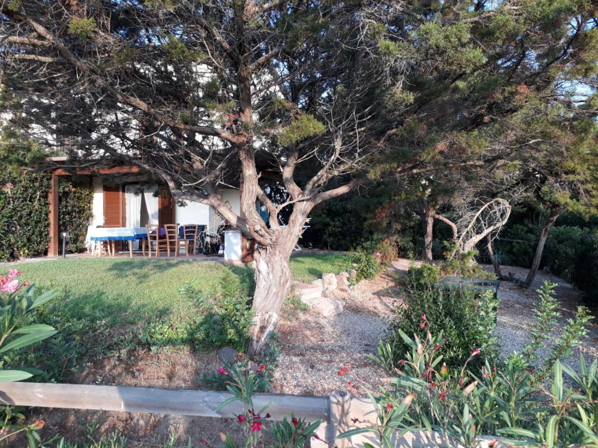 Baia delle Mimose Garden photo 4