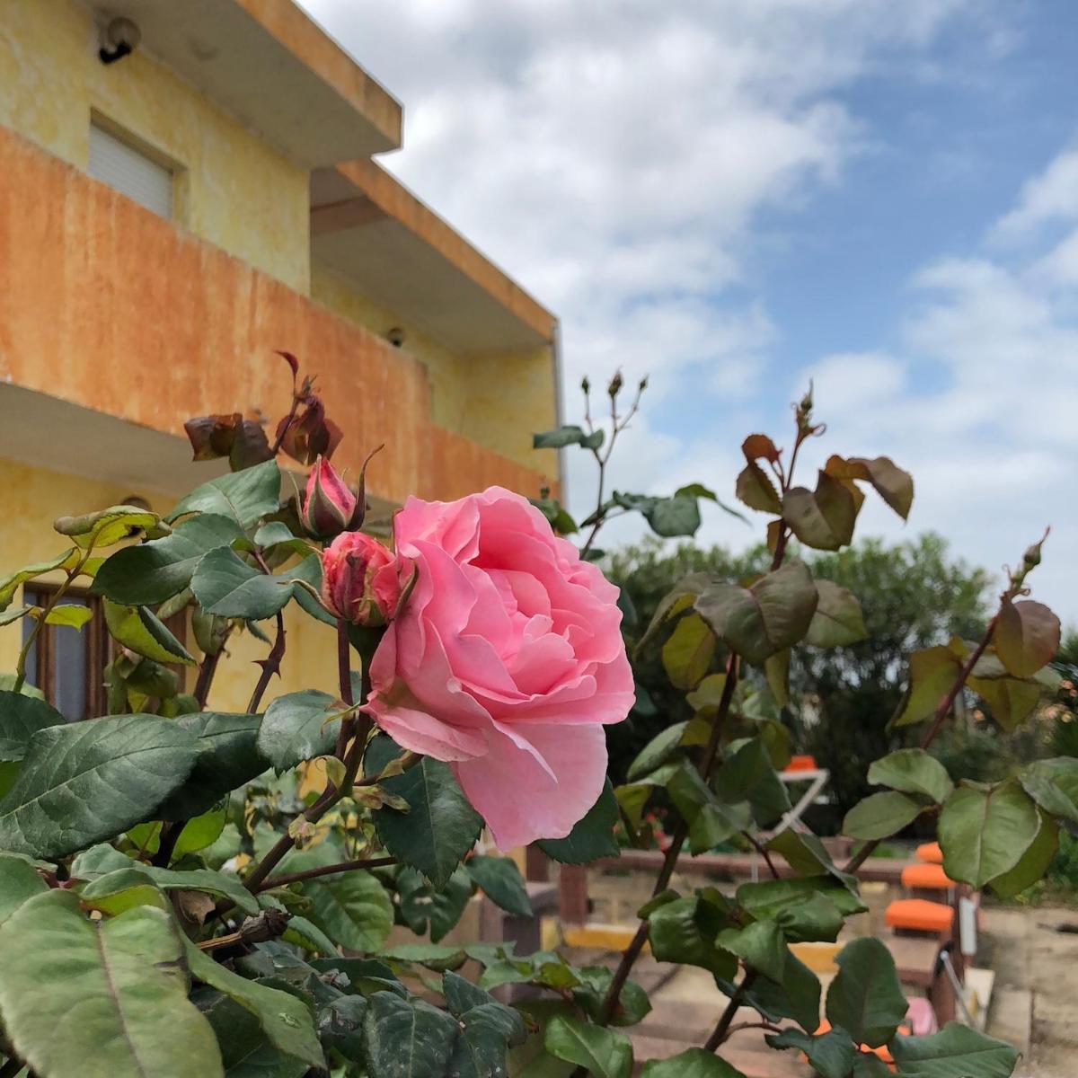 Photo 44
