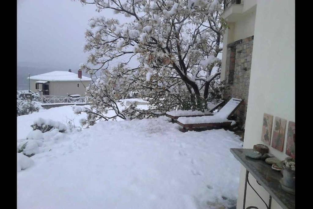 Photo 14