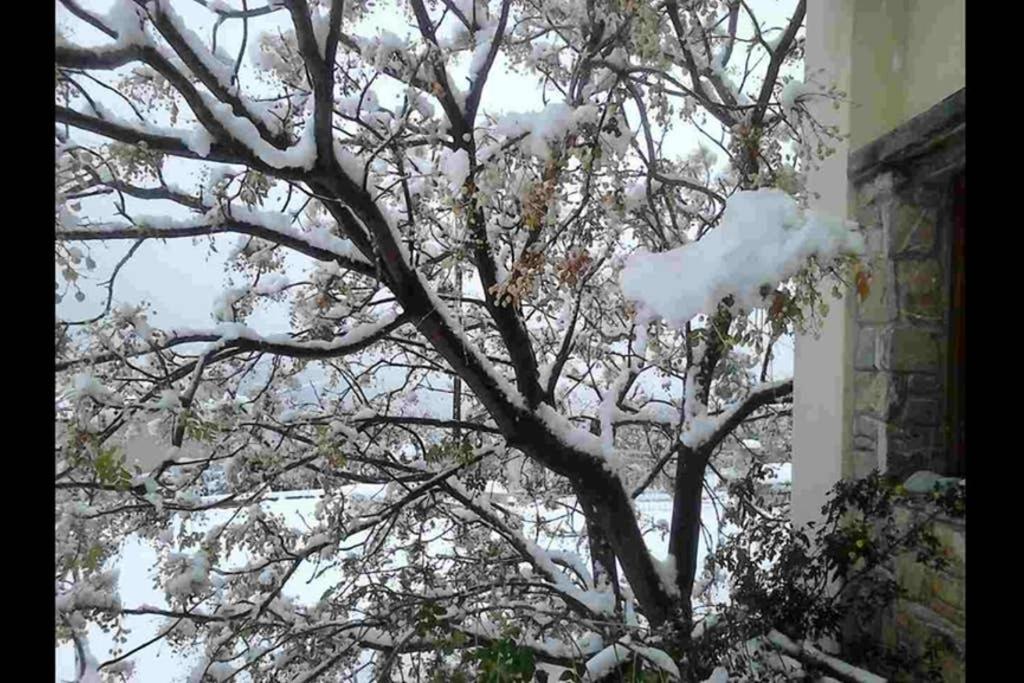 Photo 52
