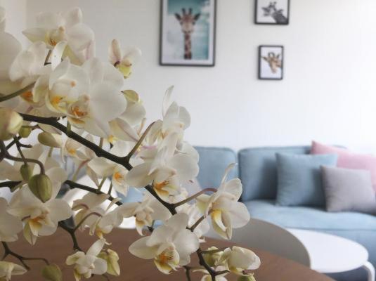 Pfotchenurlaub im Harz- Schone Ferienwohnung fur 2-4 Personen und Hund - Property Image 24