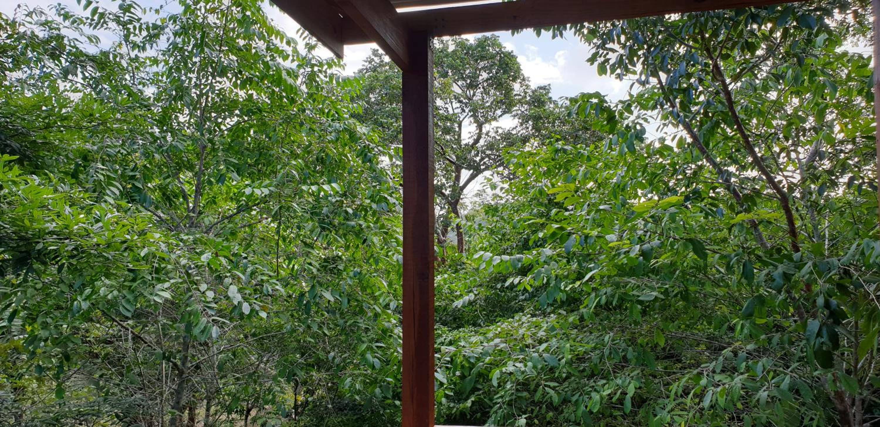 Maya Hill Lodge
