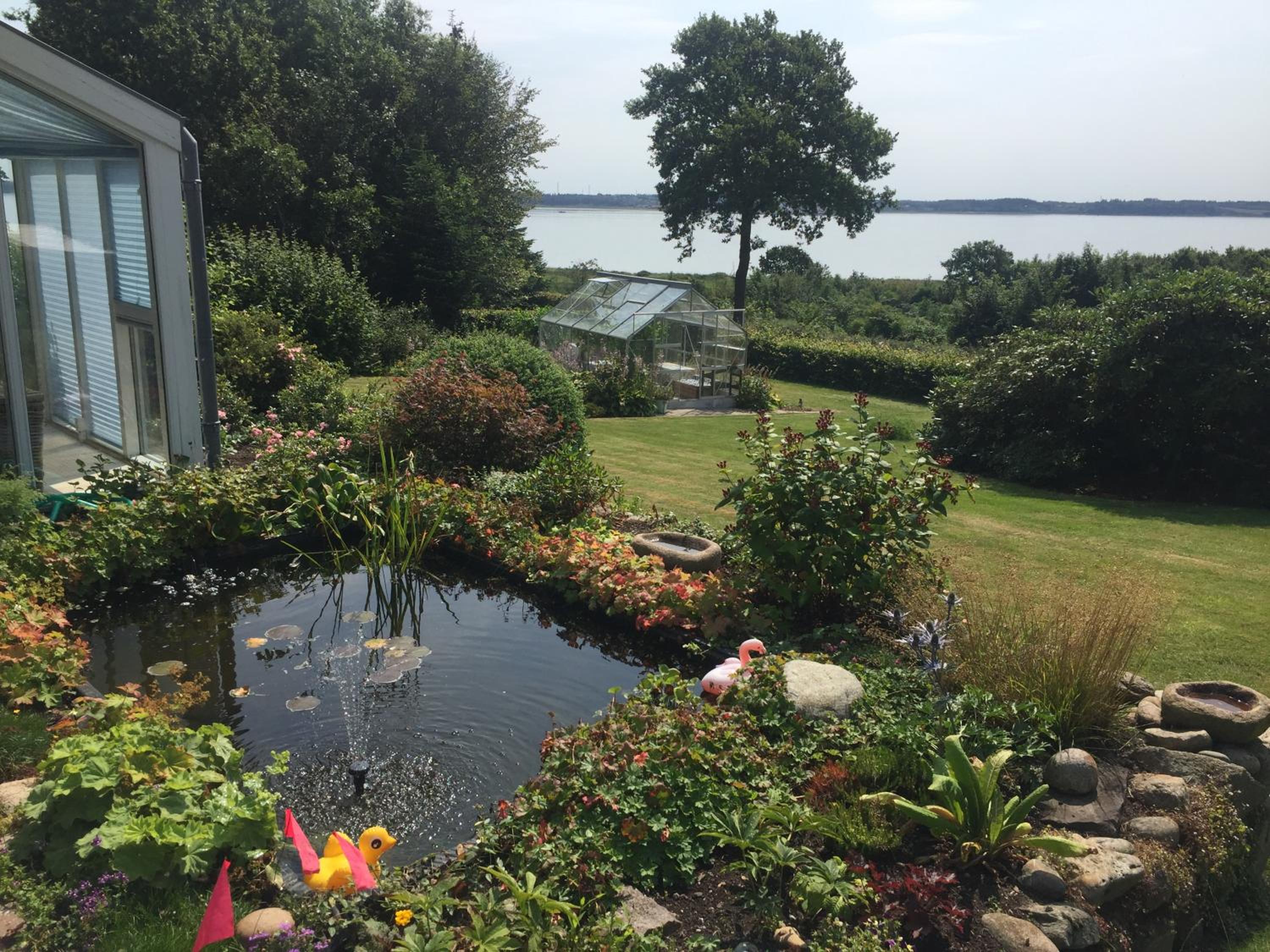 Værelse med udsigt over Limfjorden - rolige omgivelser og adgang til flot have view 4