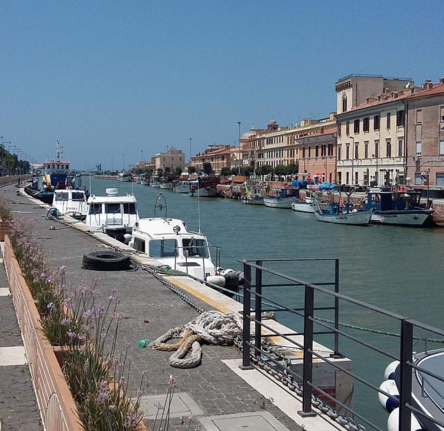 Pisicchio Rooms view 5