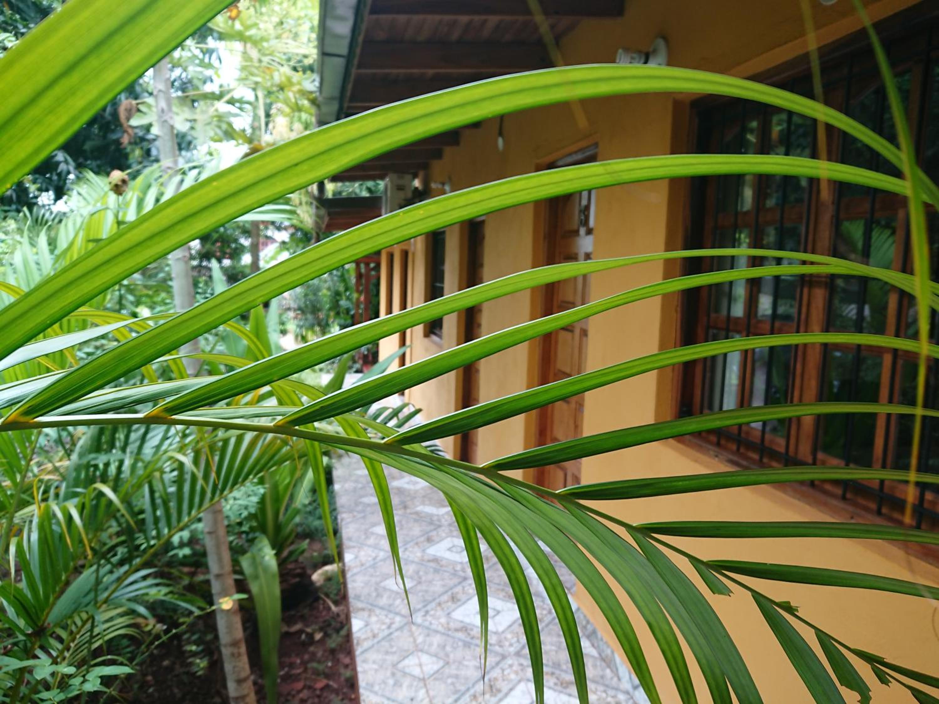 La Posada de Moncho