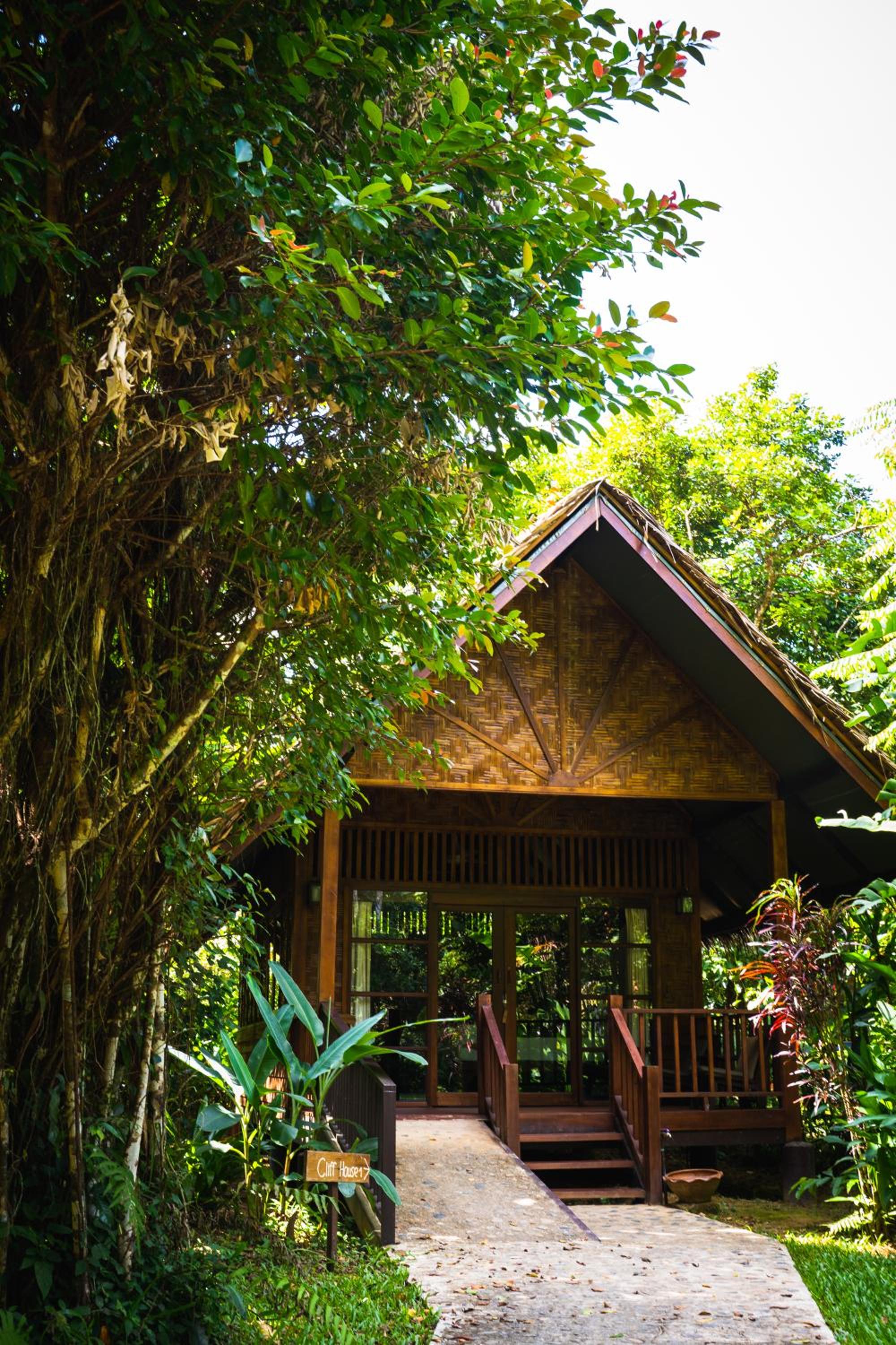 Our Jungle House