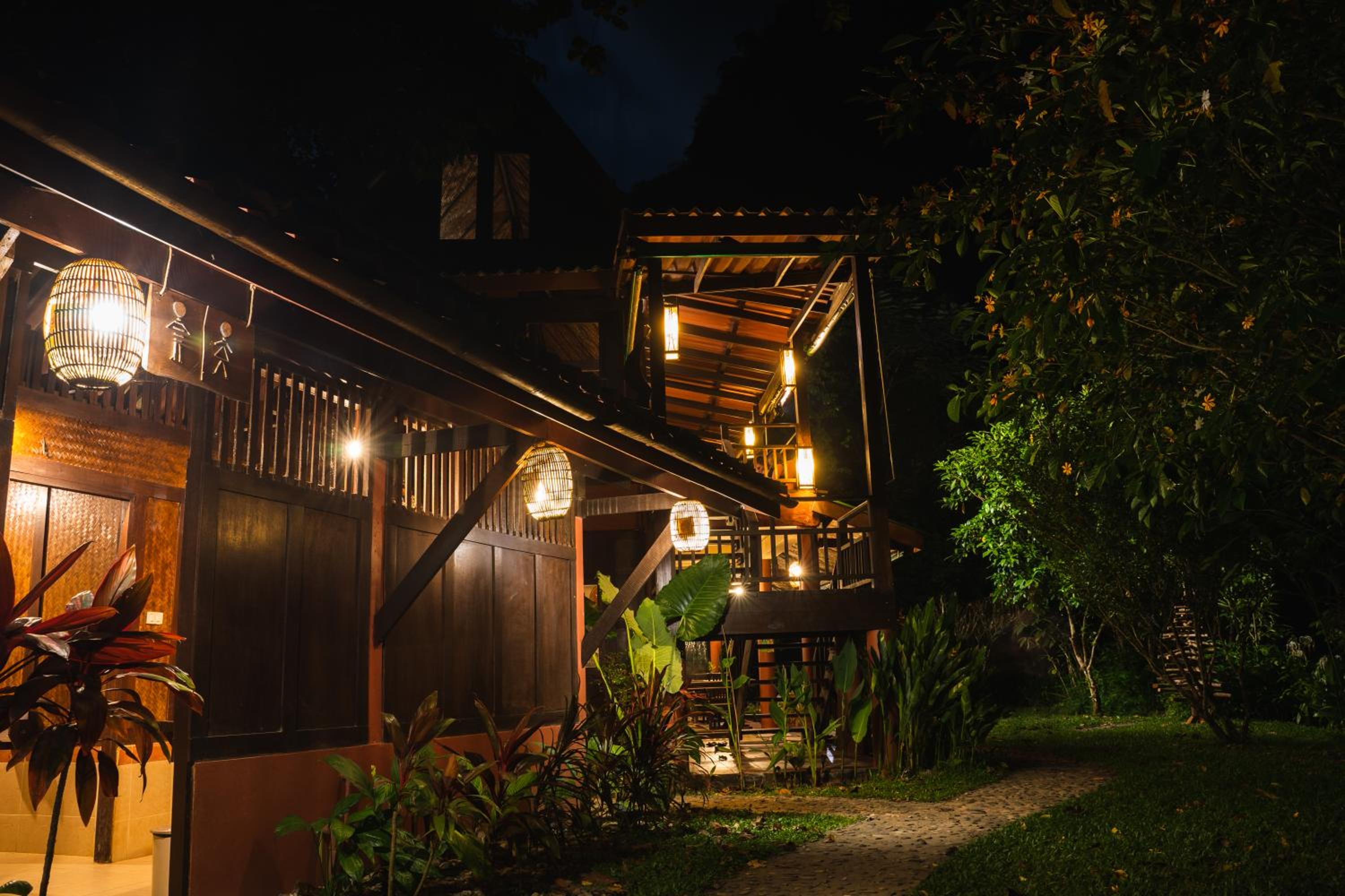 Our Jungle House