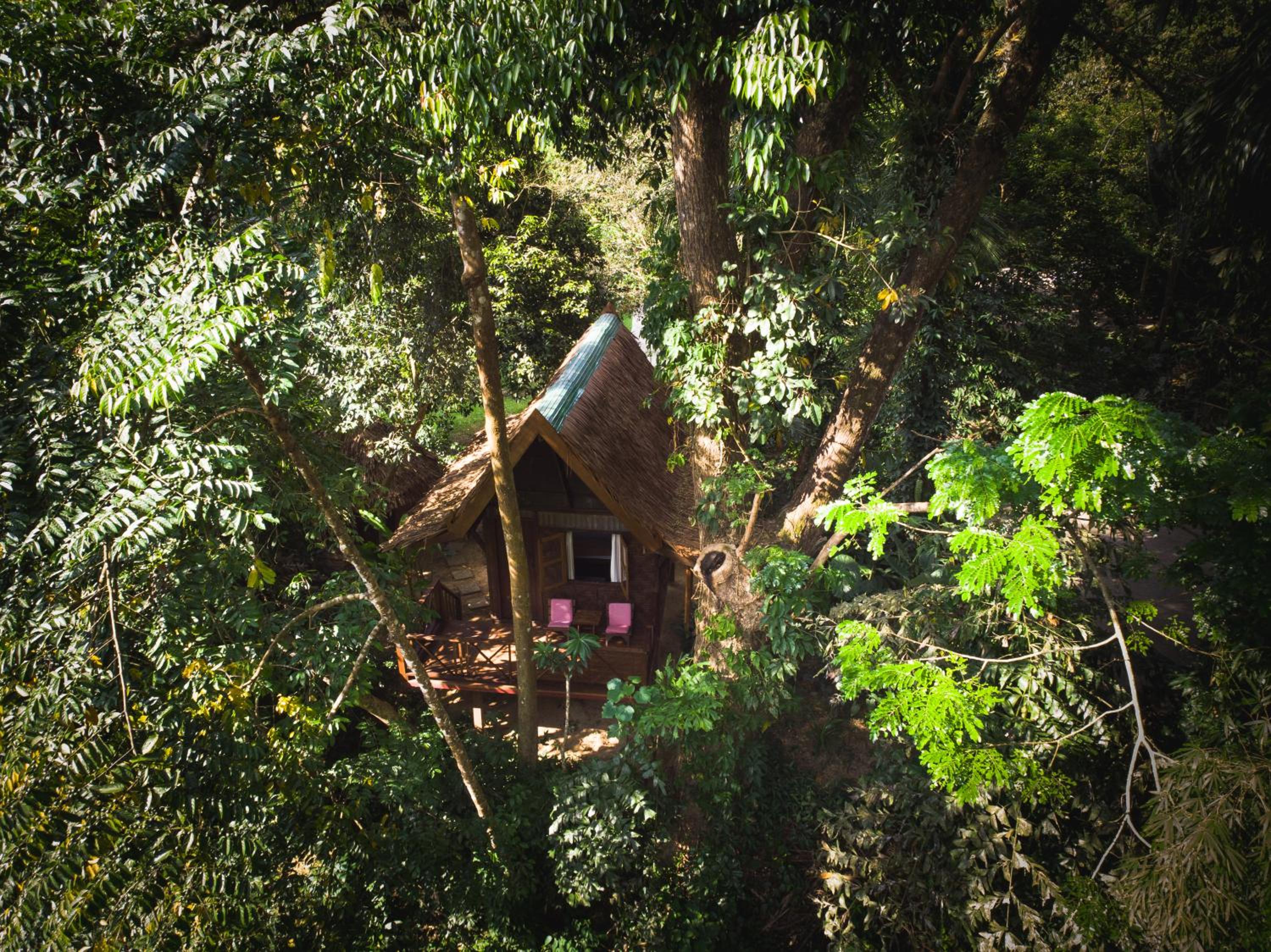 Our Jungle House