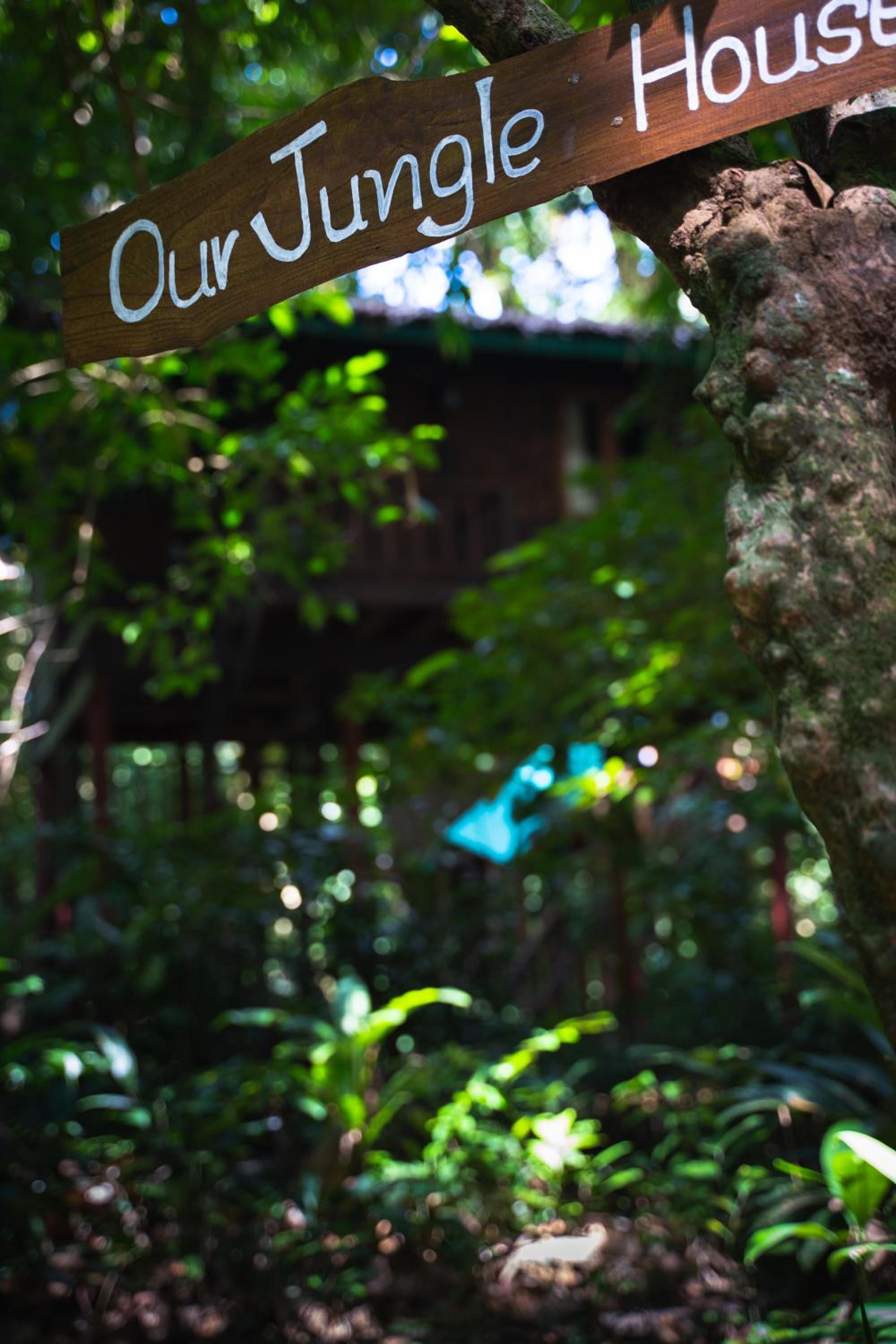 Our Jungle House