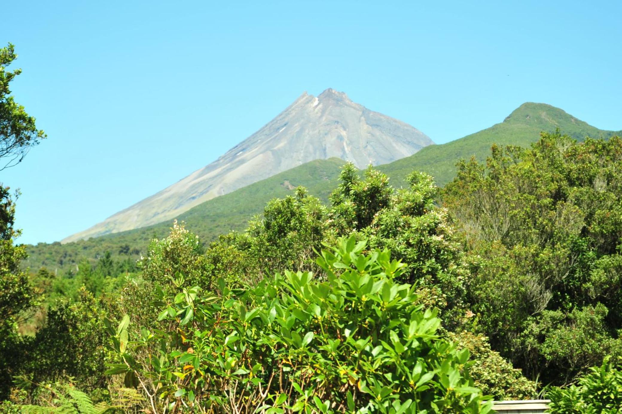 Georges BnB Nature and Lifestyle Retreat view 5