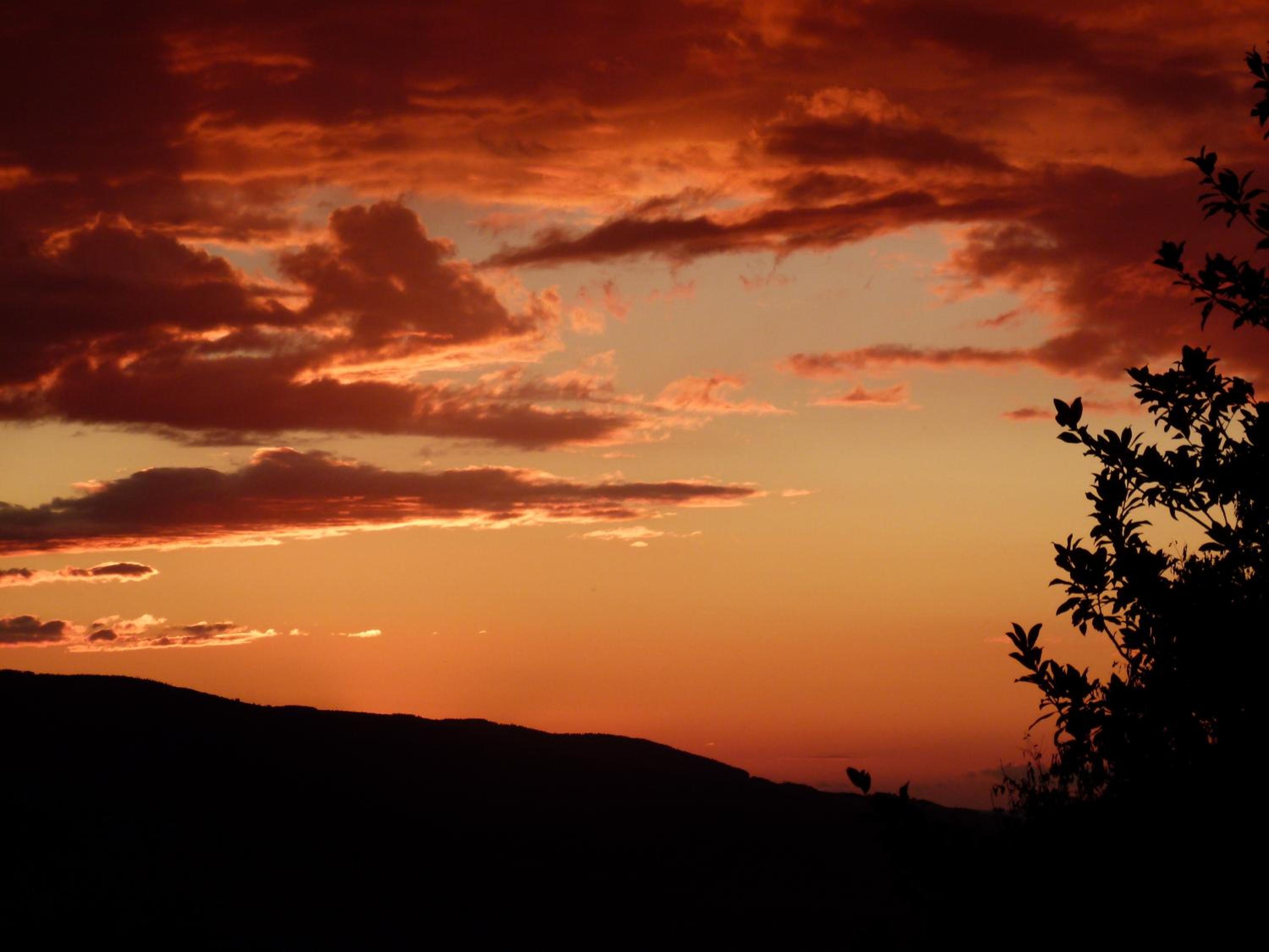 Chambres d'Hotes Baudelys - Property Image 4