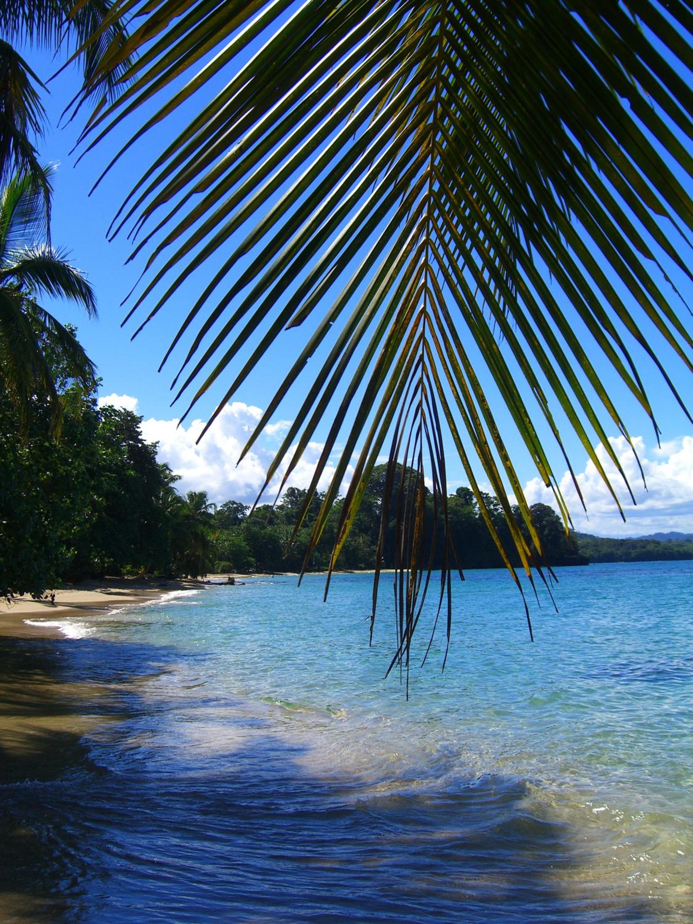 Costa Rica Caribbean Coast Vacations - Physis Caribbean Bed  Breakfast - Property Image 1