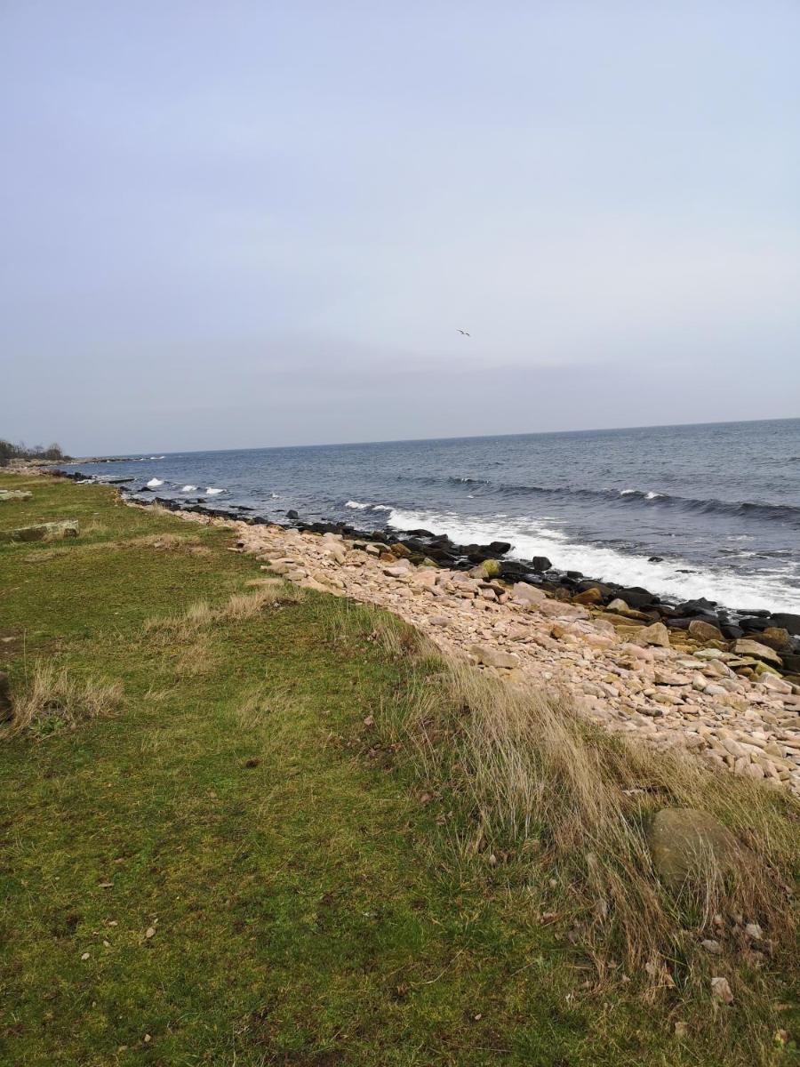 Nexø Camping & Cabins view 3