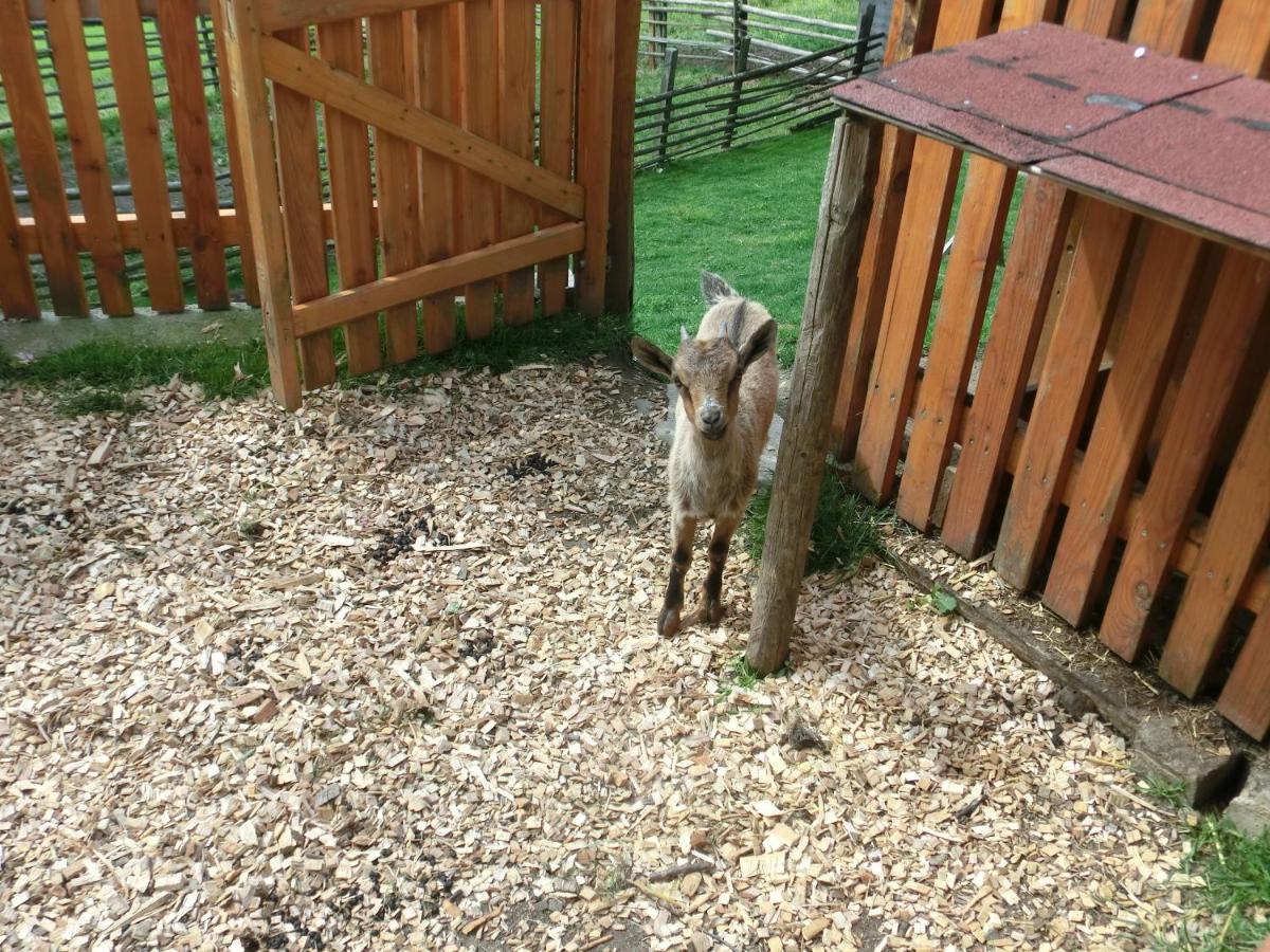 Photo 114
