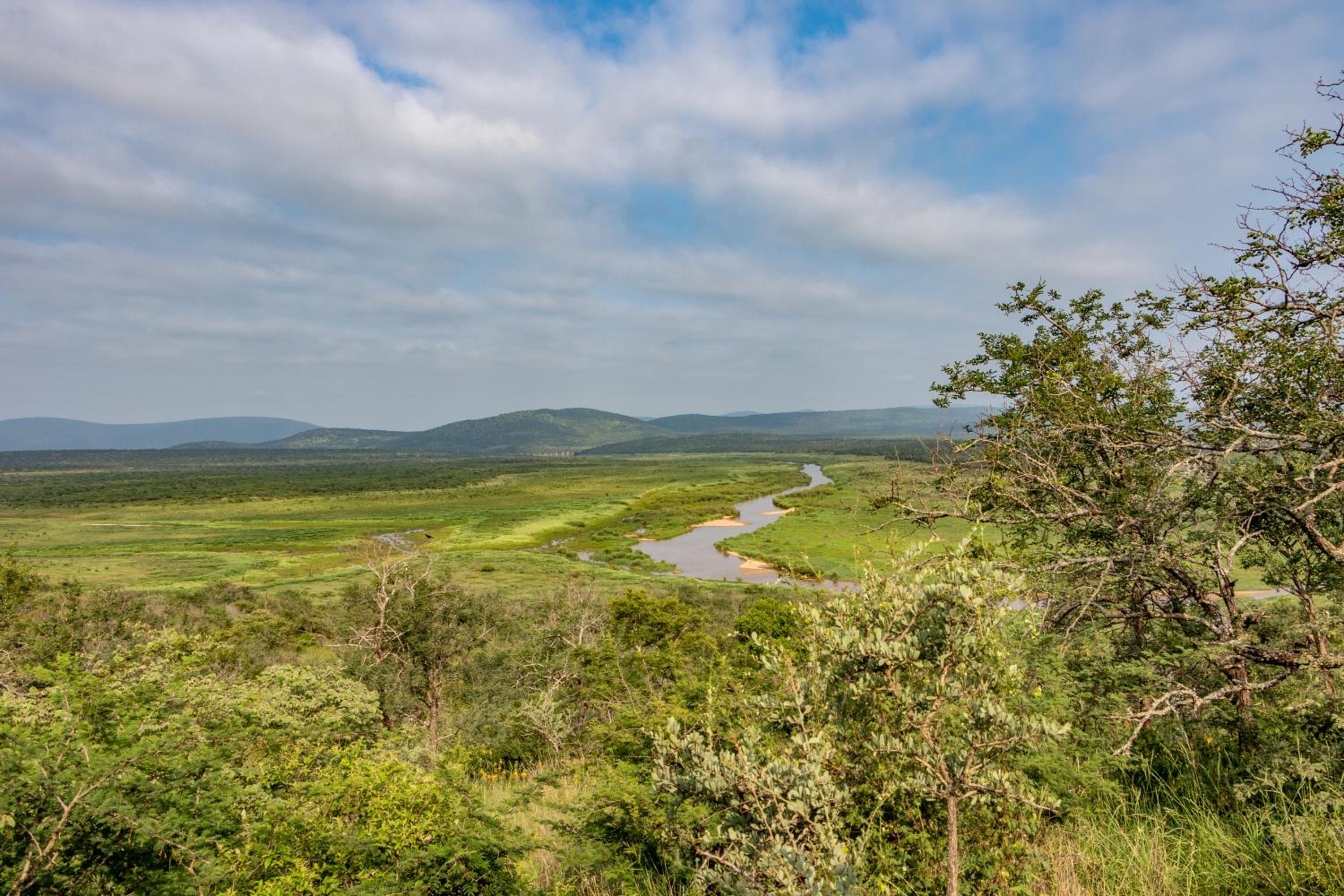 White Elephant Safaris view 2