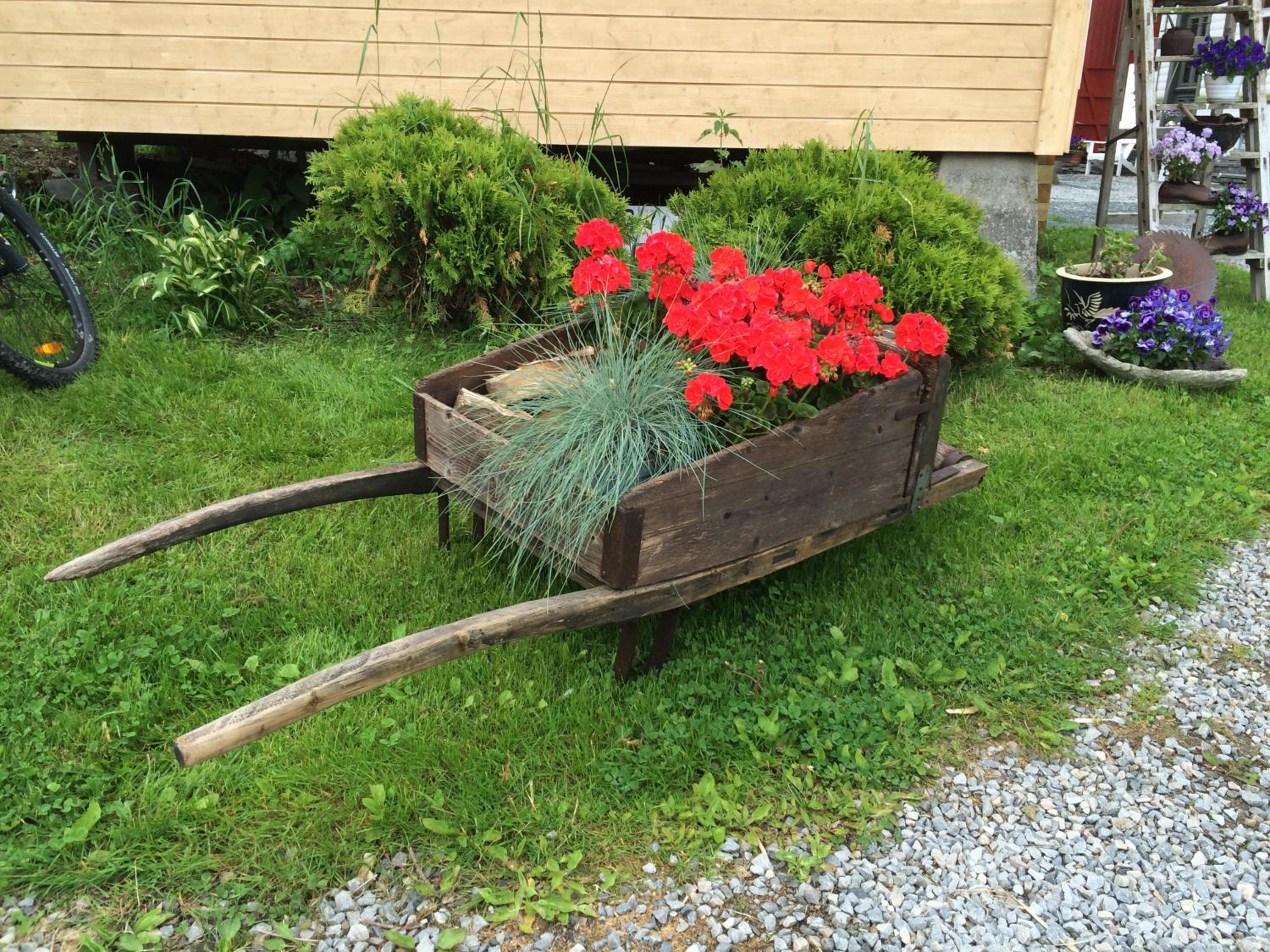 Photo 16