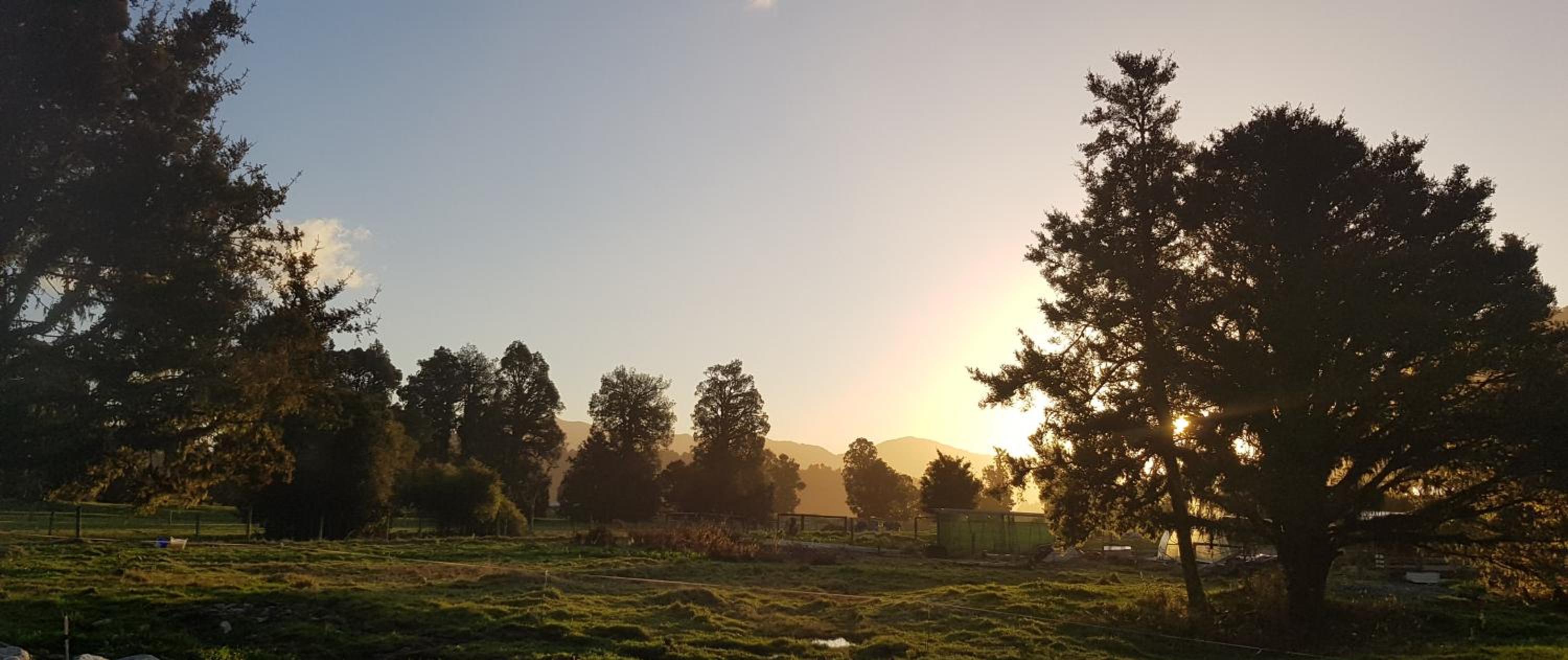 Cosy Cabin in the Paddocks - Breakfast Included view 3