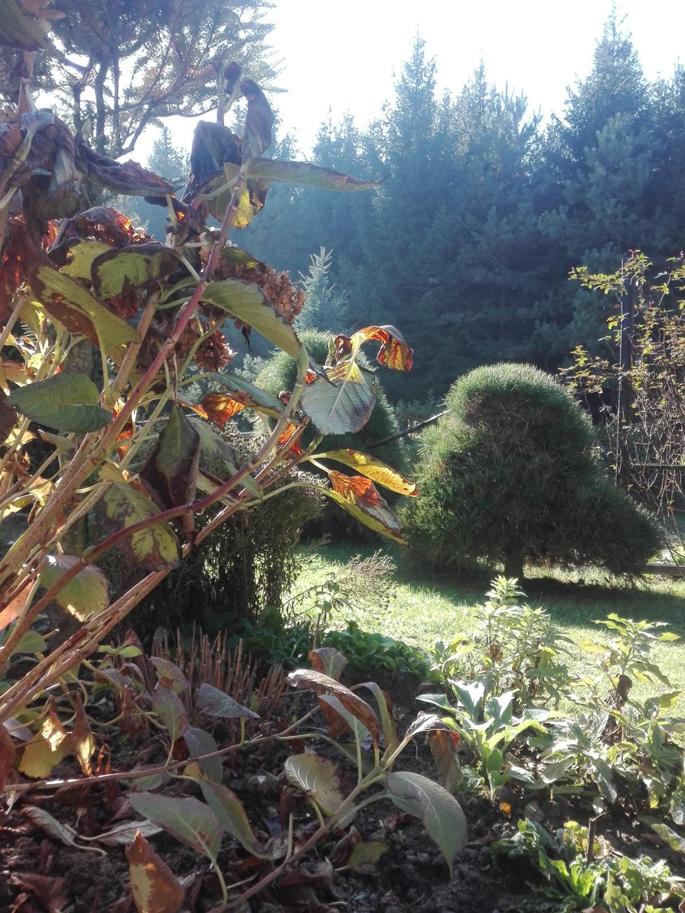 Photo 27