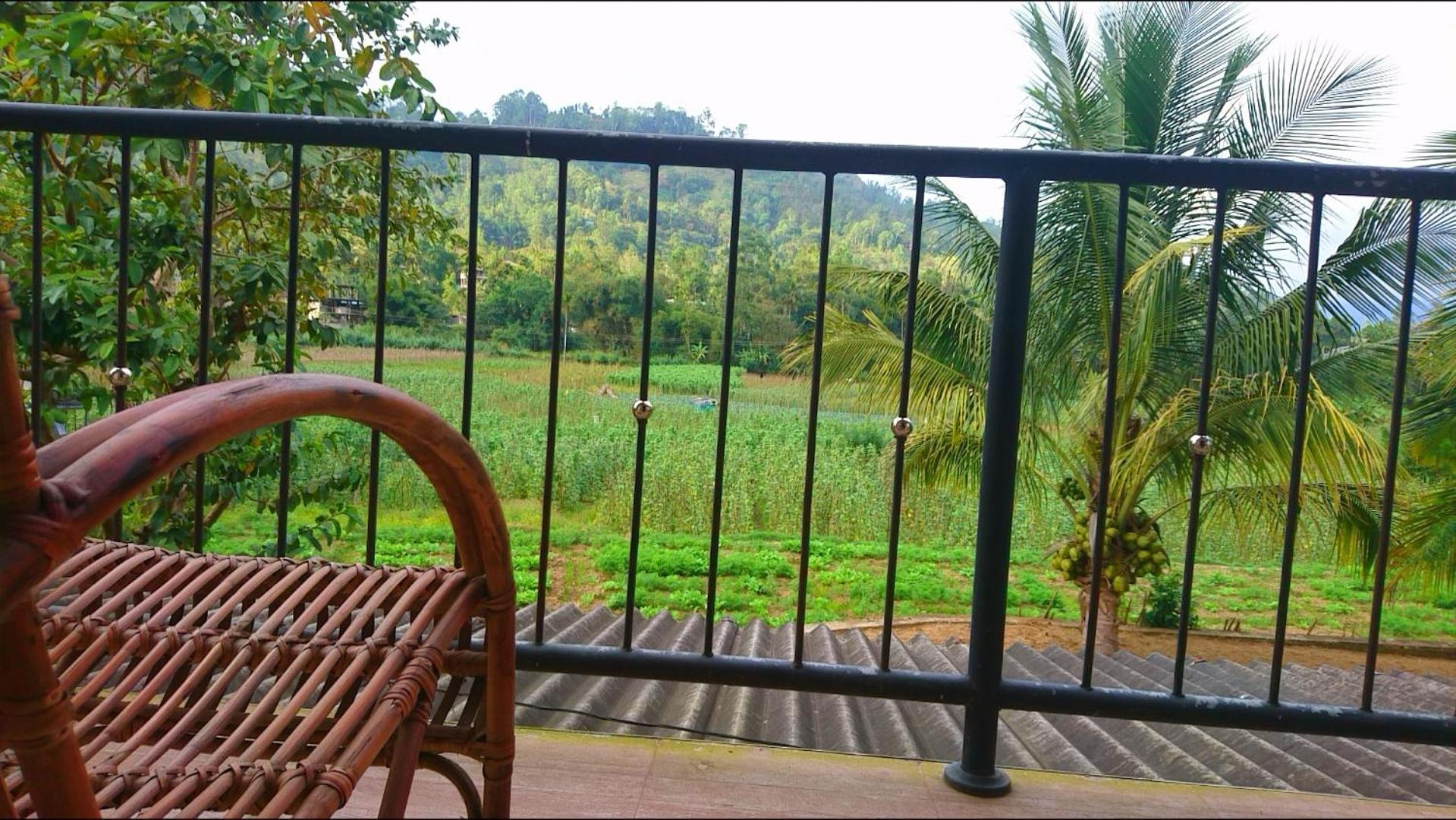 Ella Nature valley homestay view 2