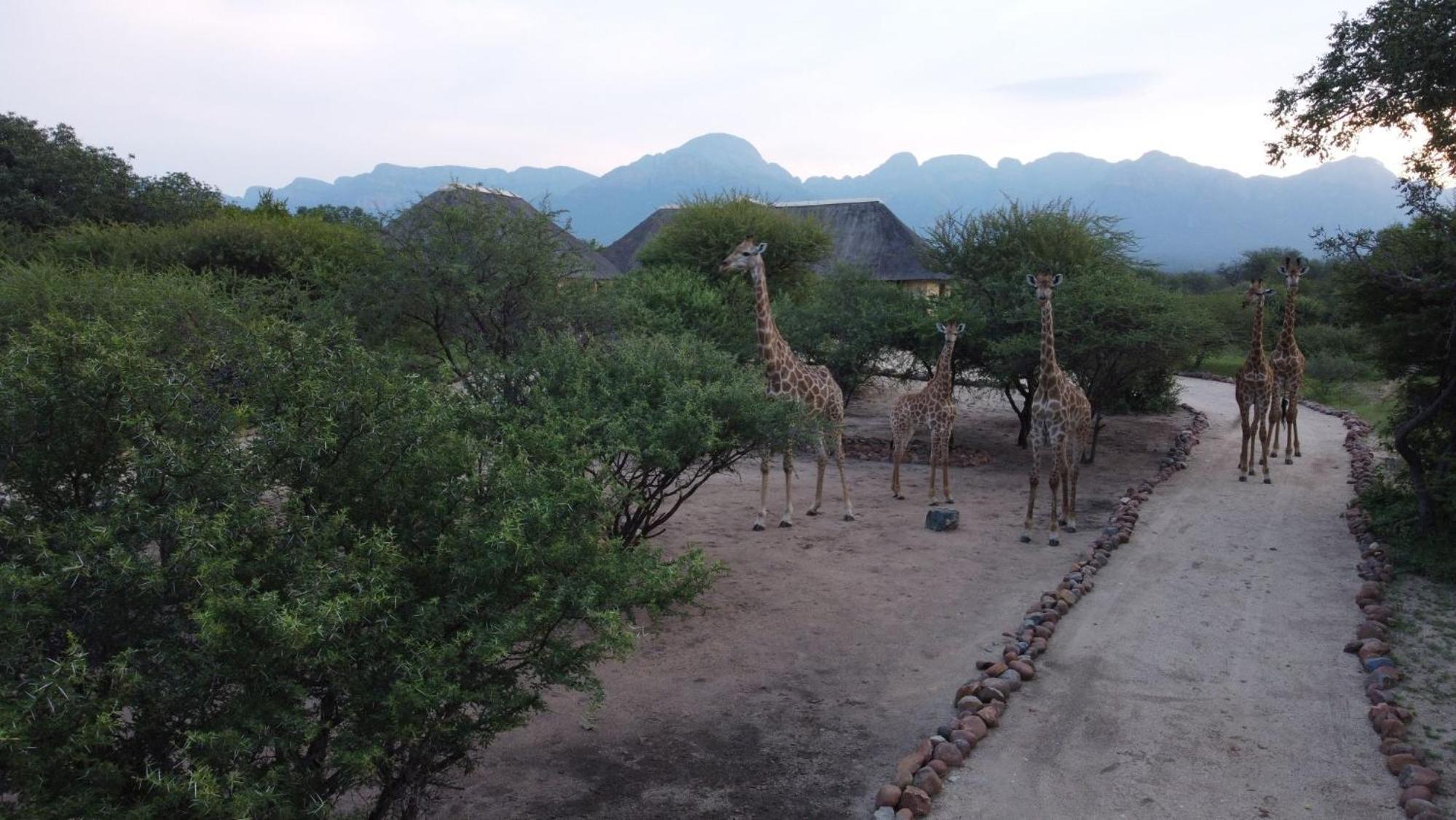 Hidden 2-Bedroom Gem In A Quiet Wildlife Estate