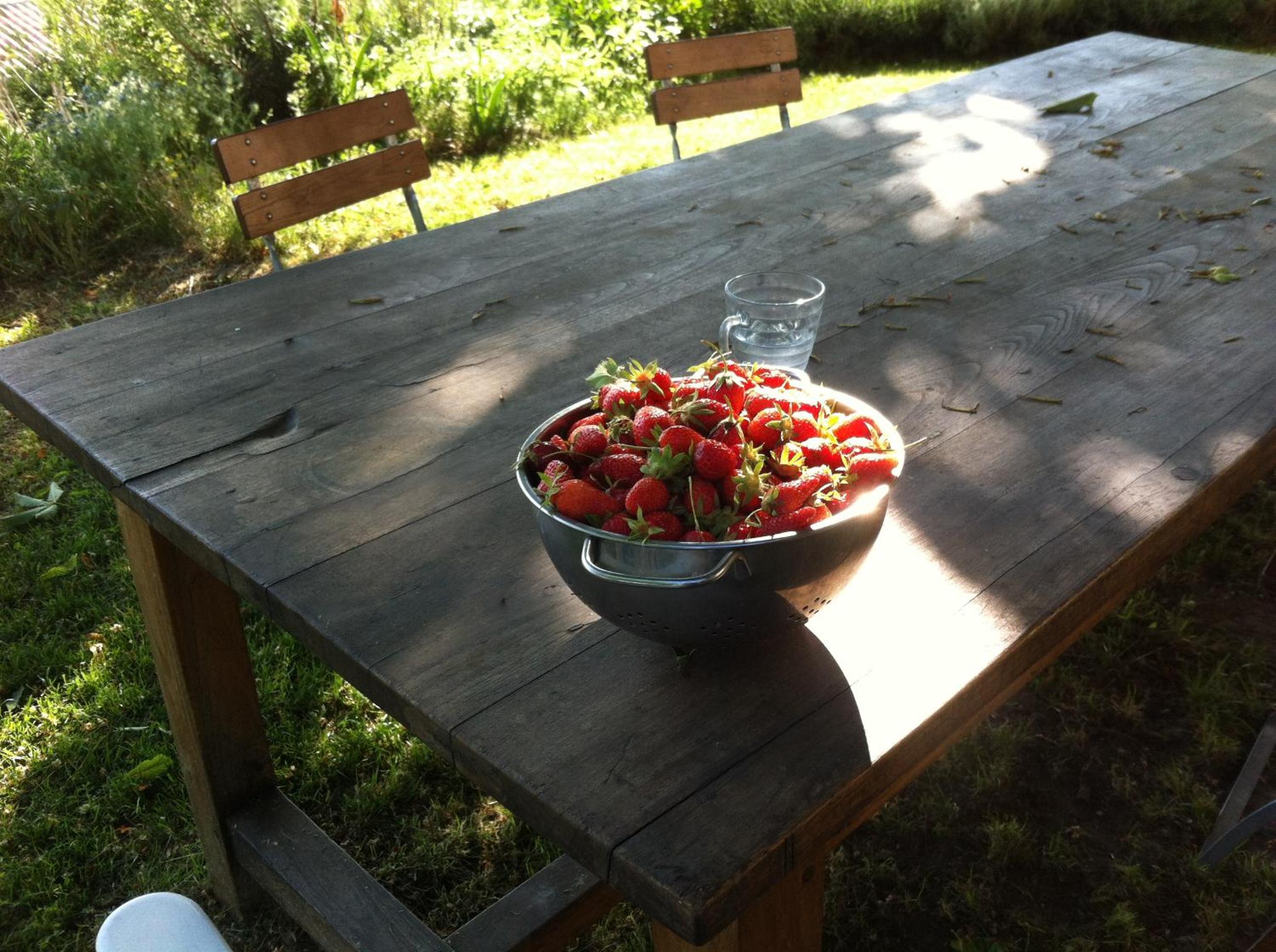 Photo 41