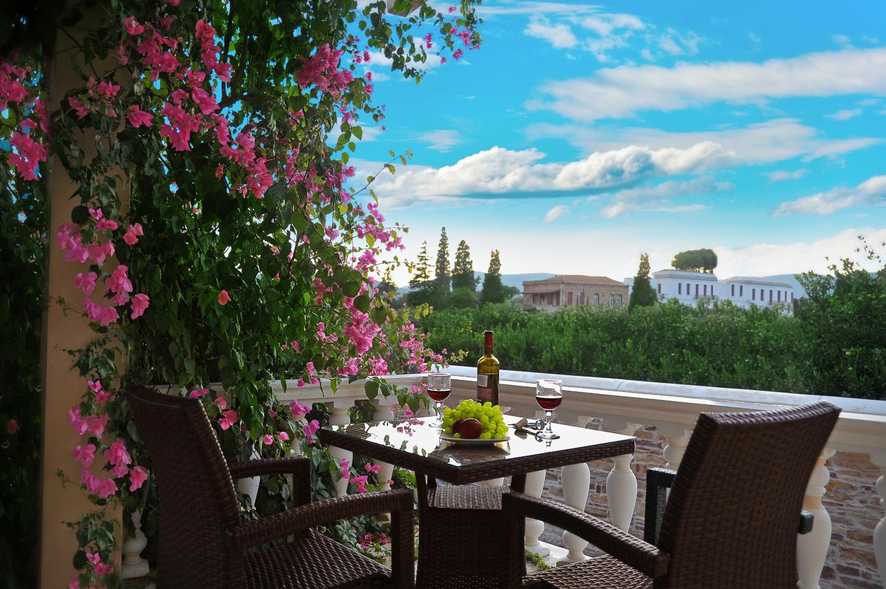 balance & terrace