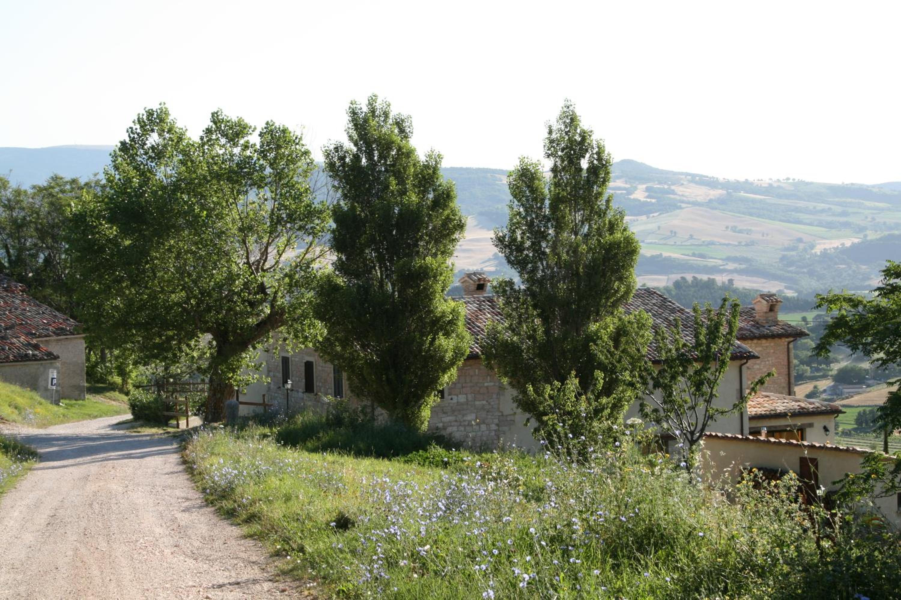 Photo 22