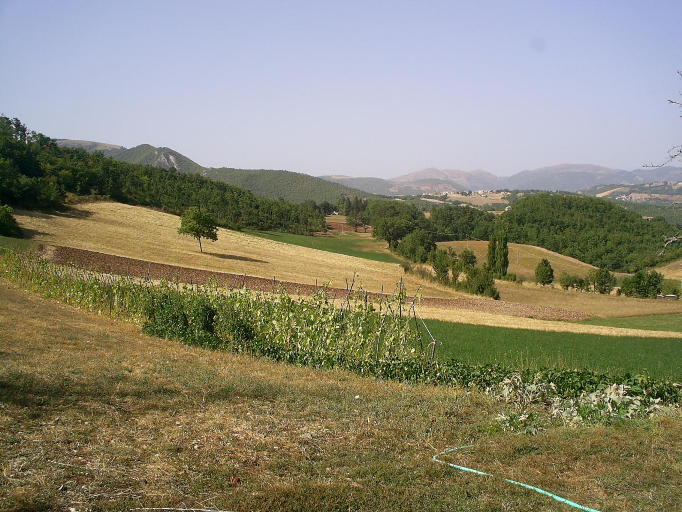 Photo 26