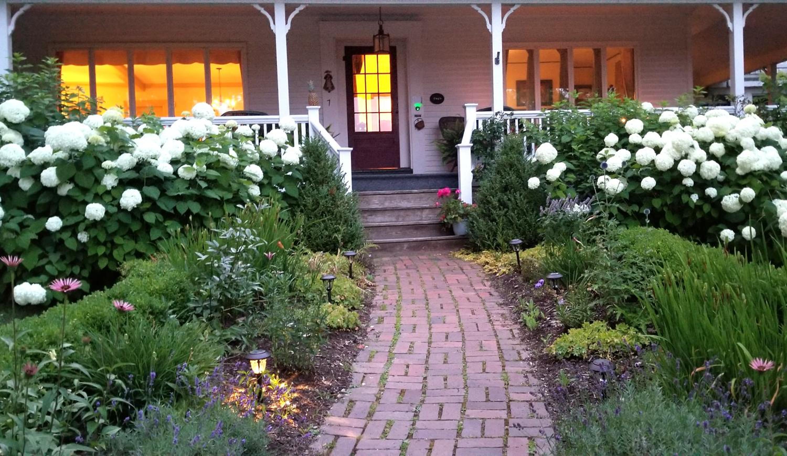 Photo 46