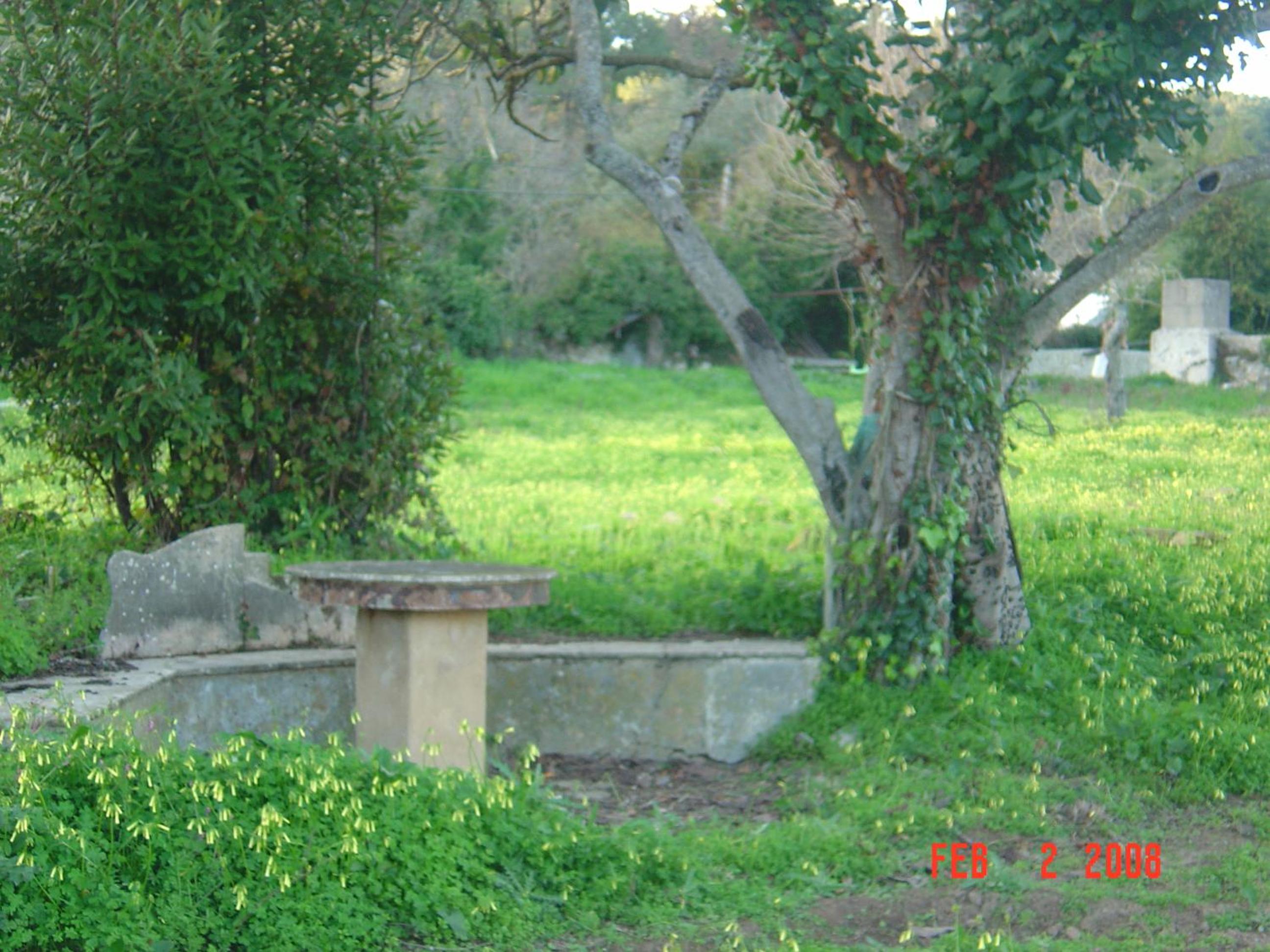 Quinta Do Scoto view 4