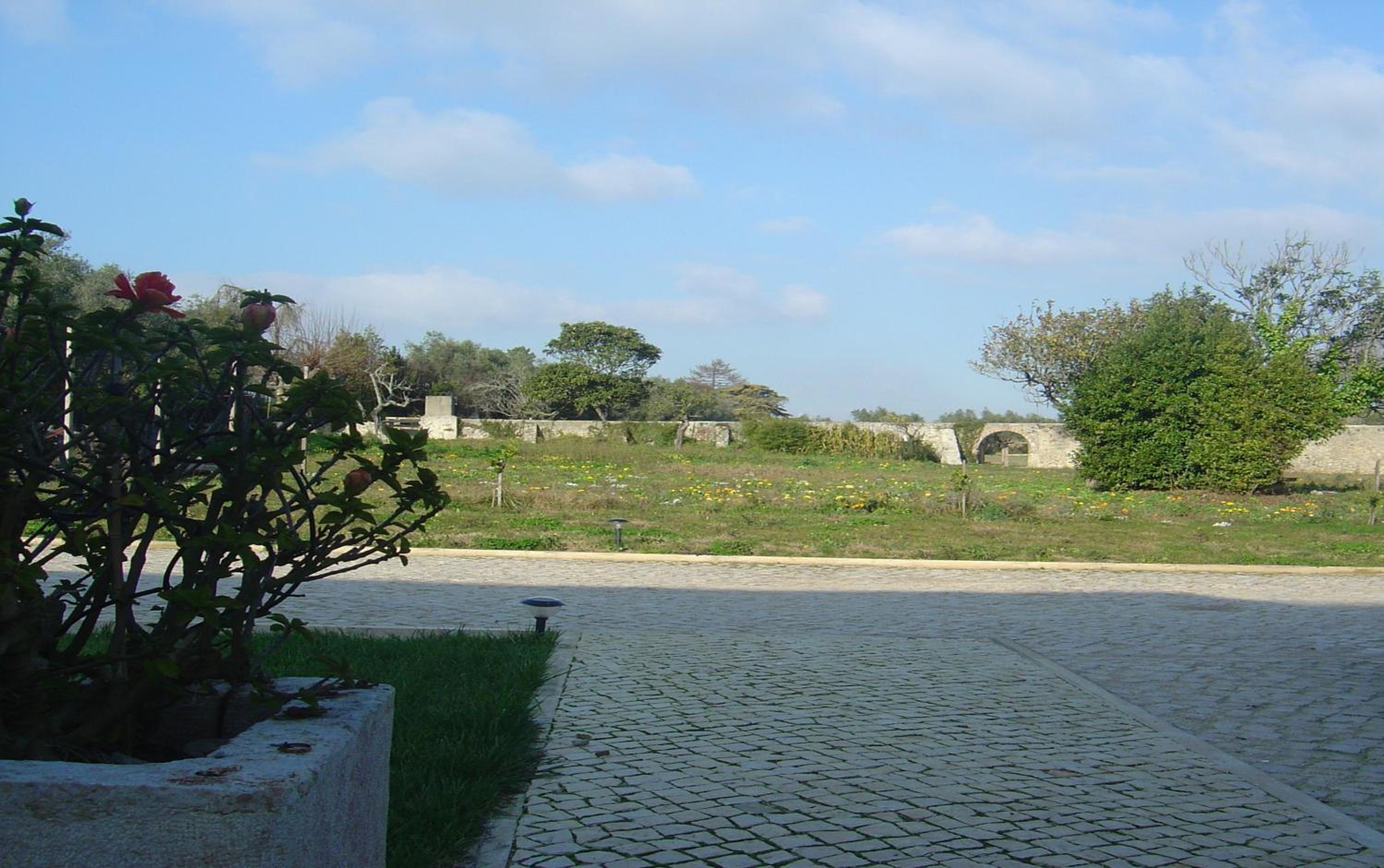 Quinta Do Scoto view 2