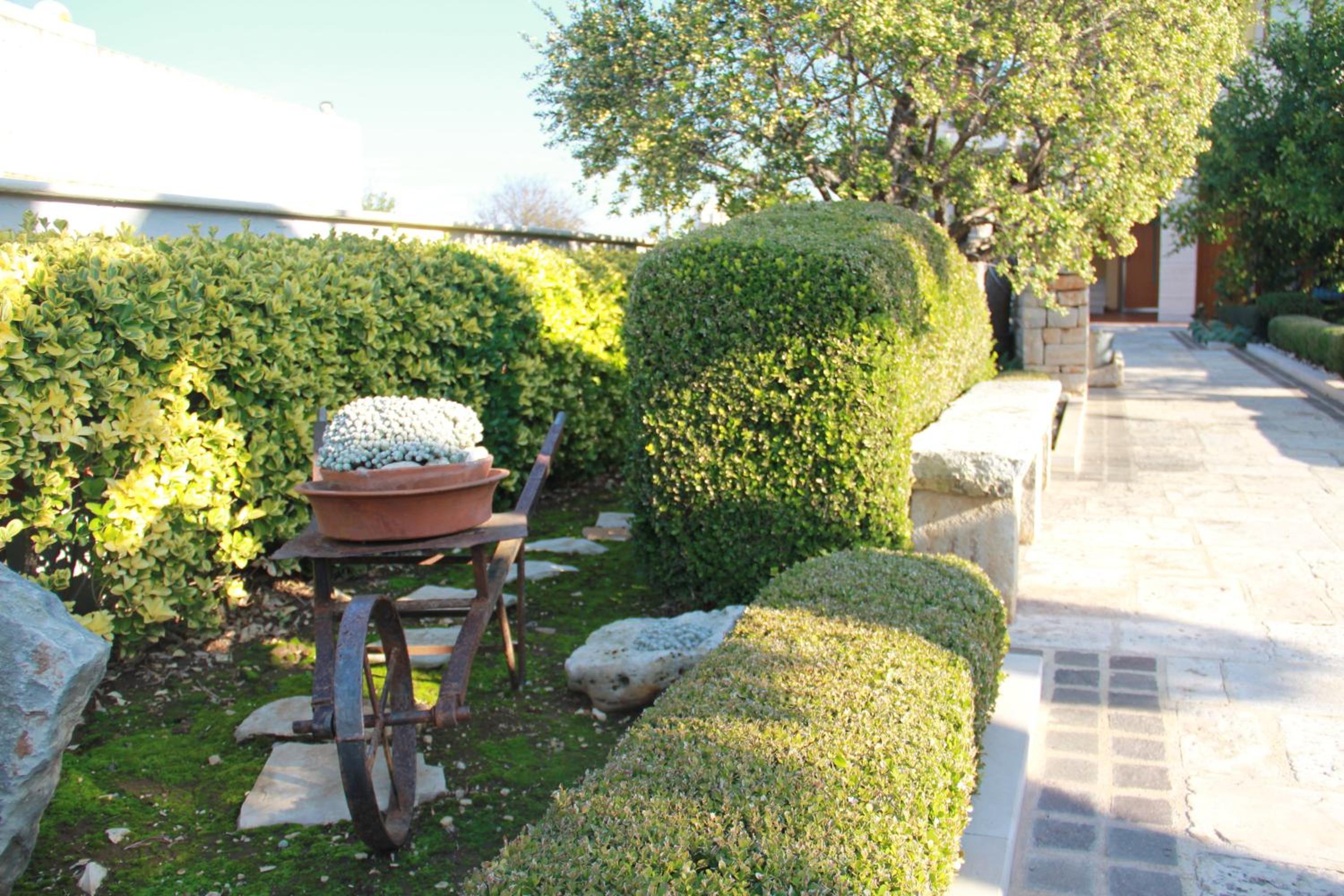 Photo 48
