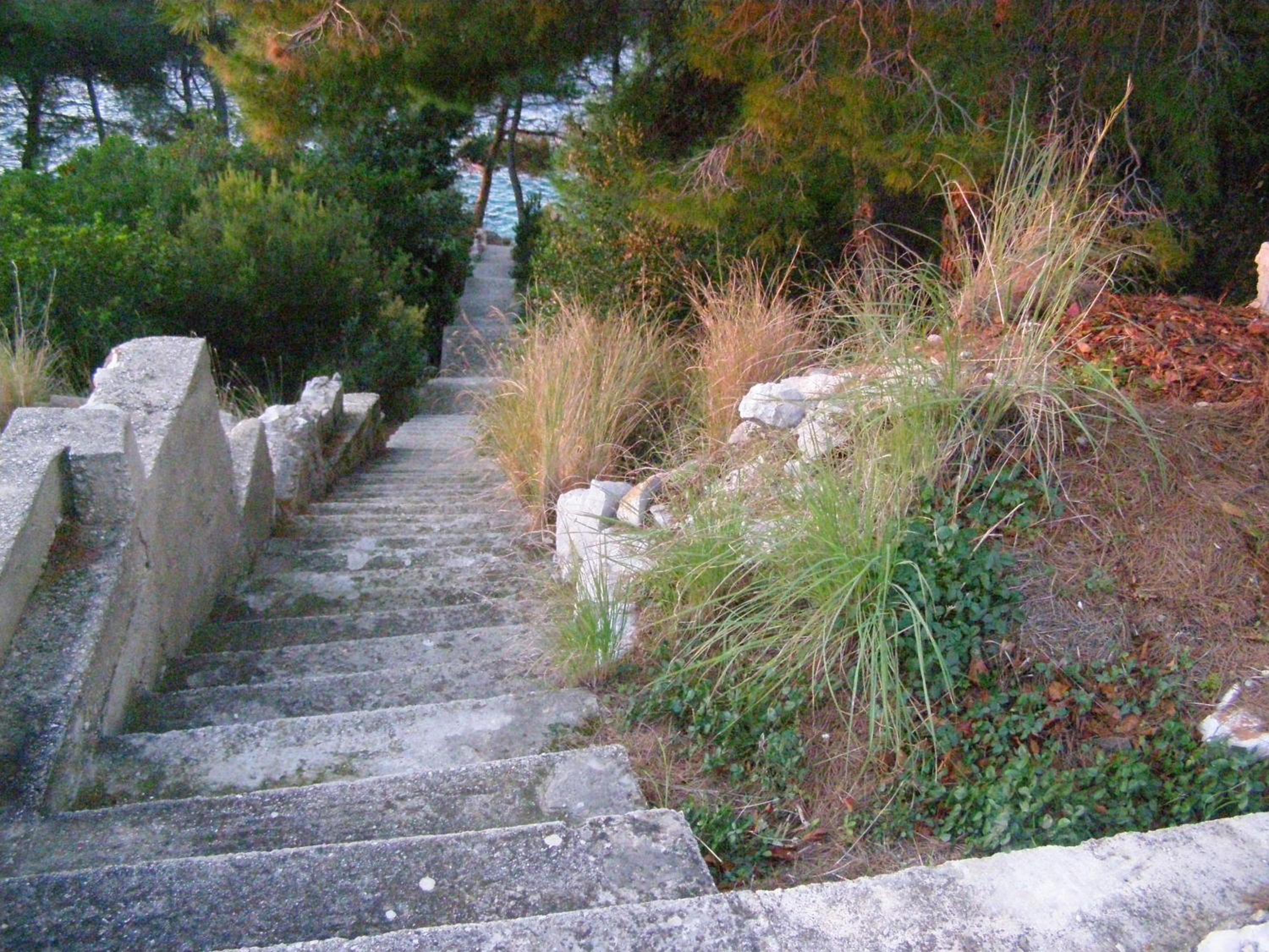 Photo 64