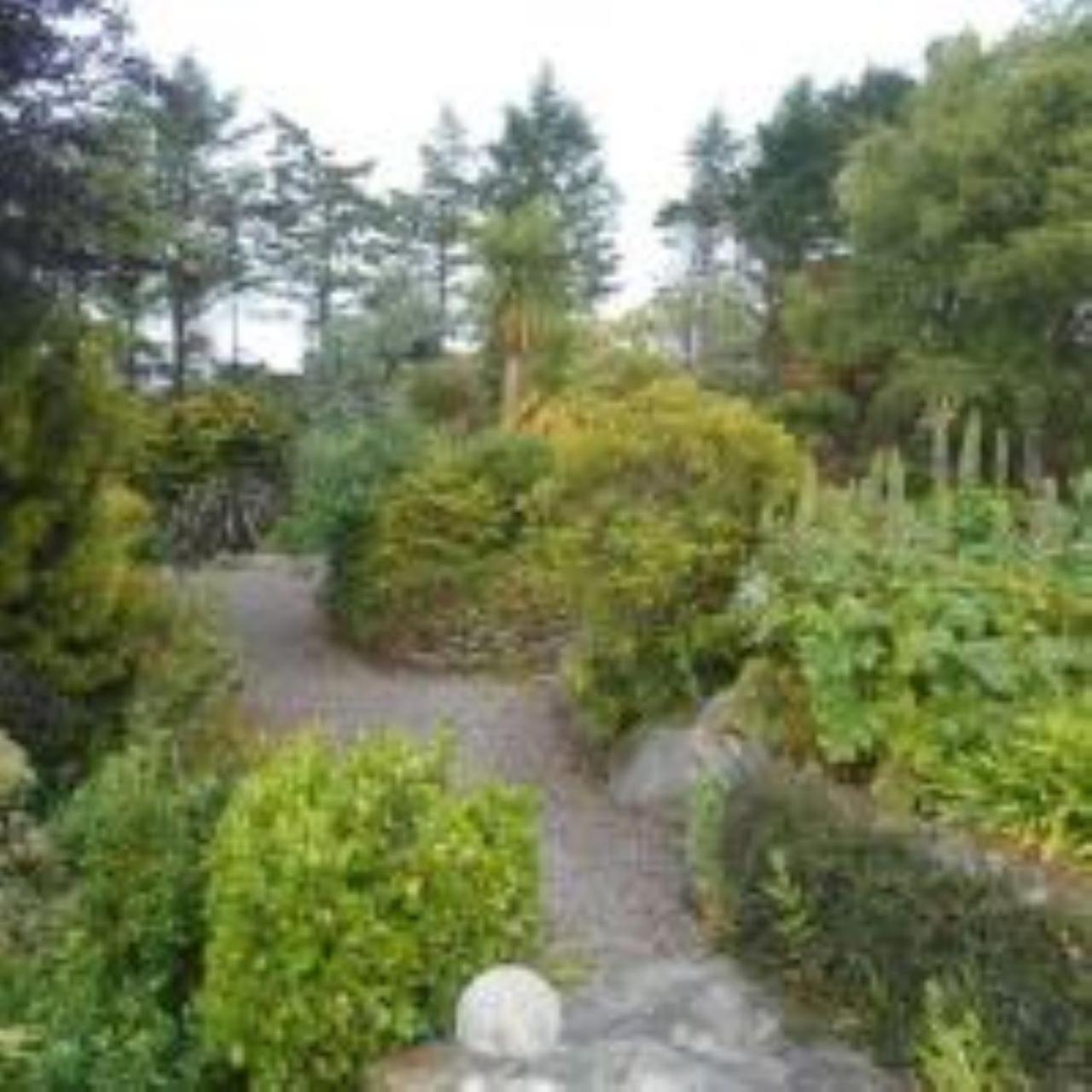 Photo 16