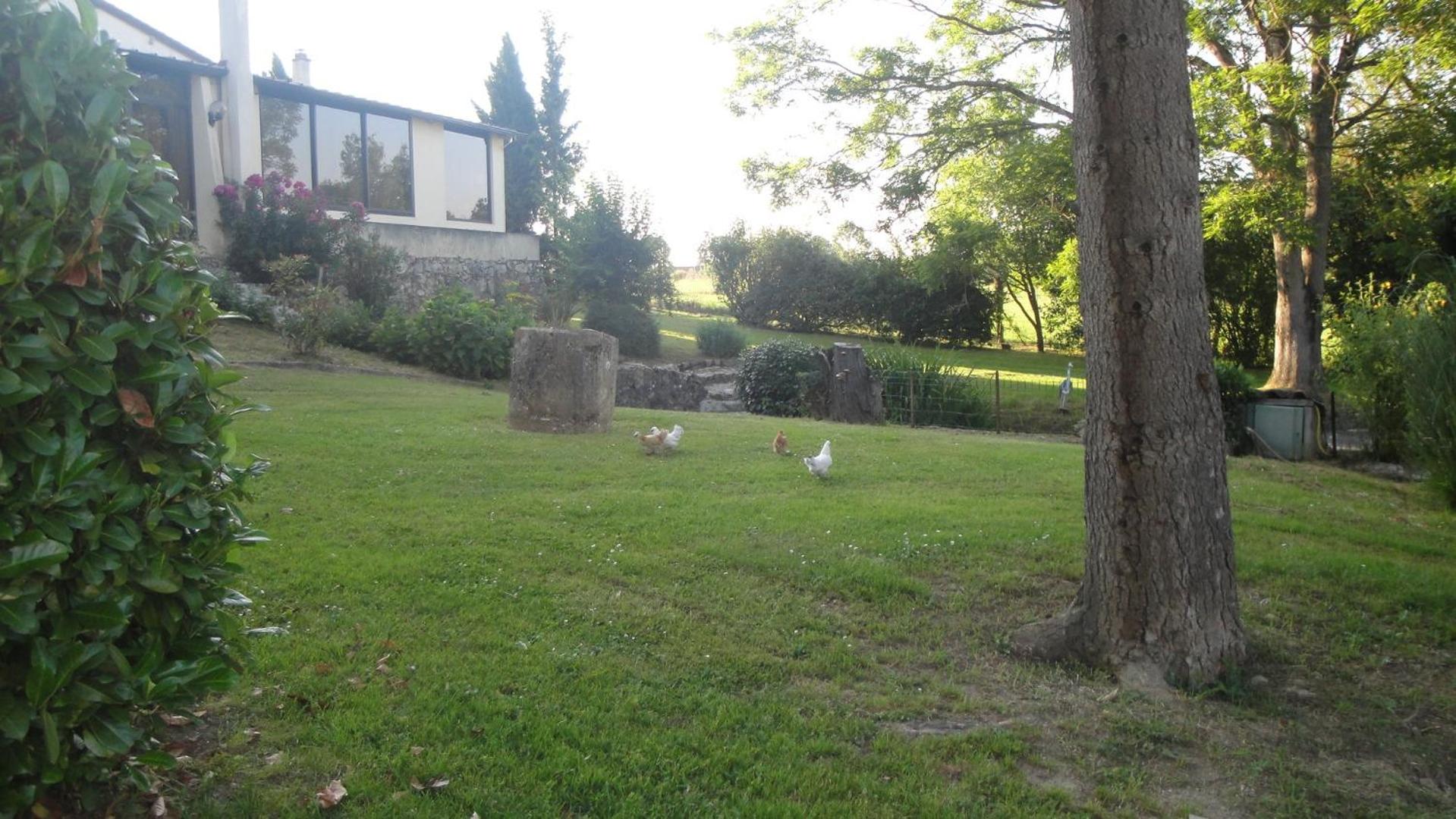 Photo 23