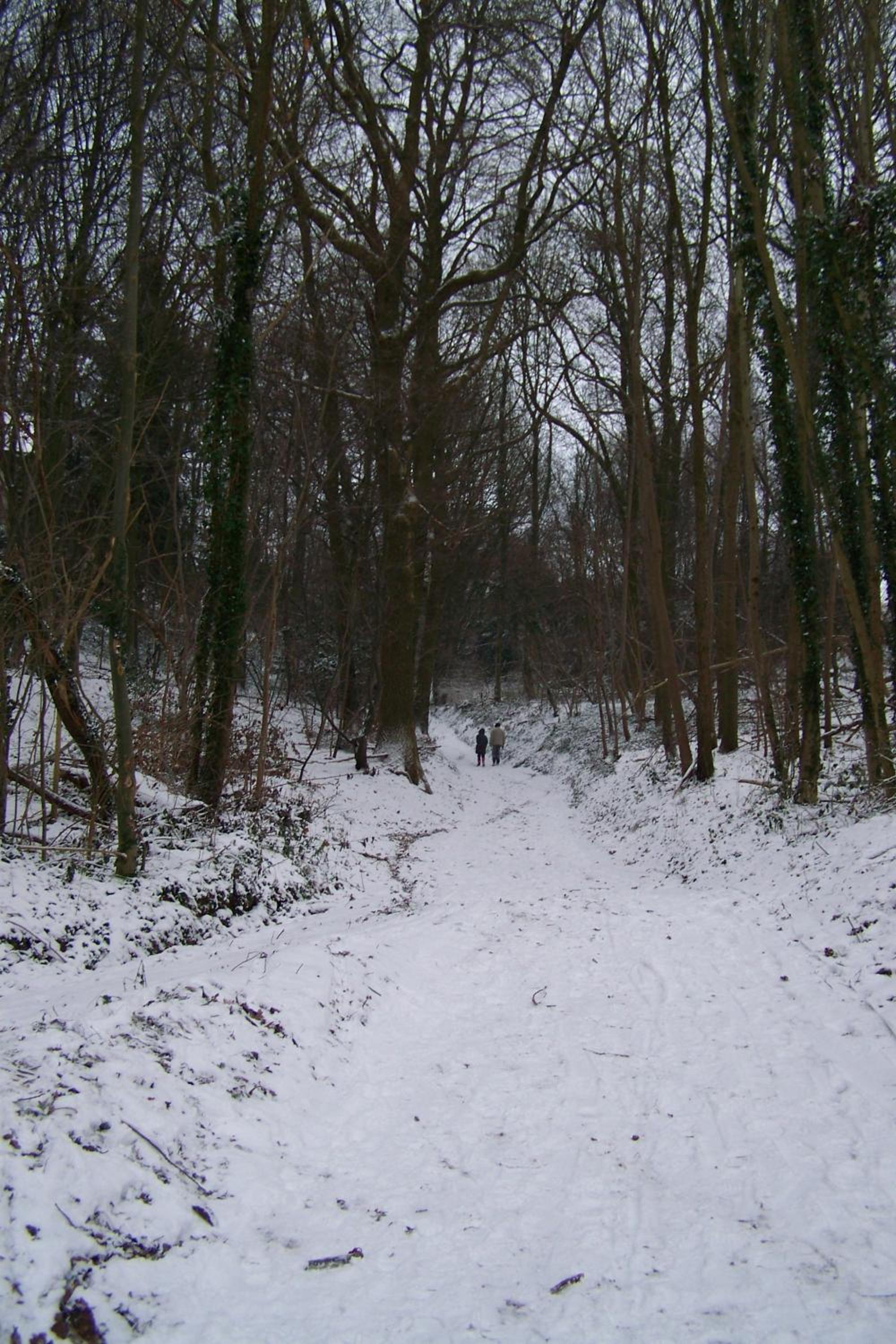 Photo 47