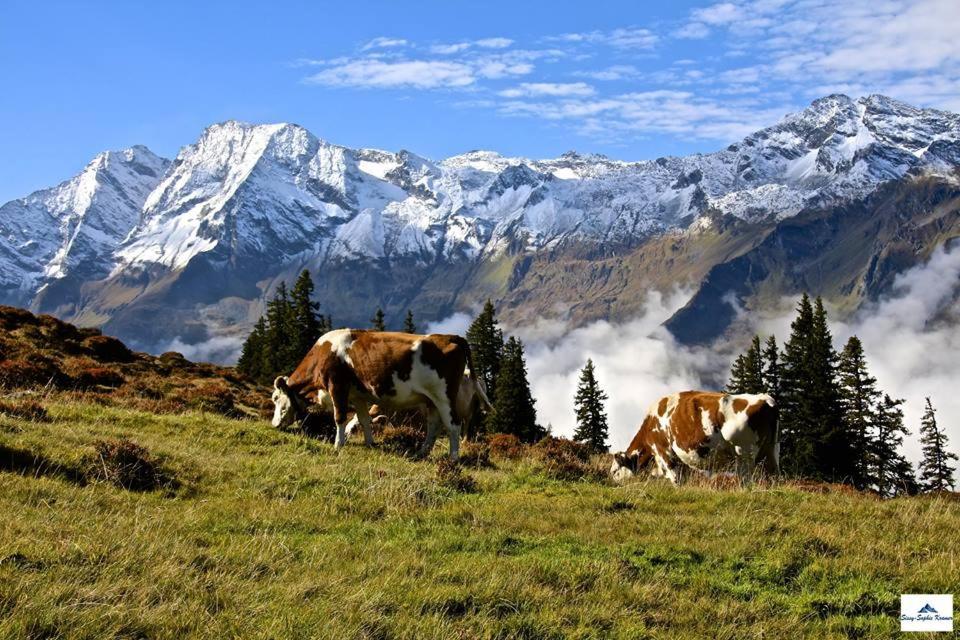 Ferienwohnung Thurn-ummerstall