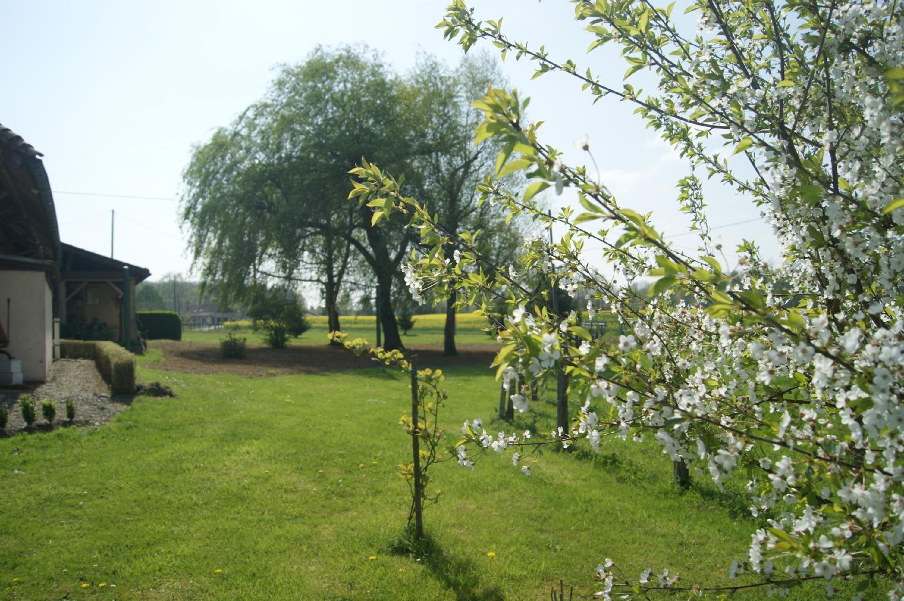 La mare aux grenouilles view 4