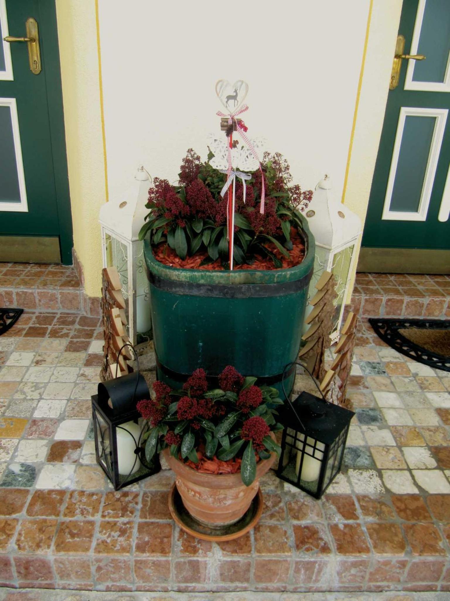 Photo 113
