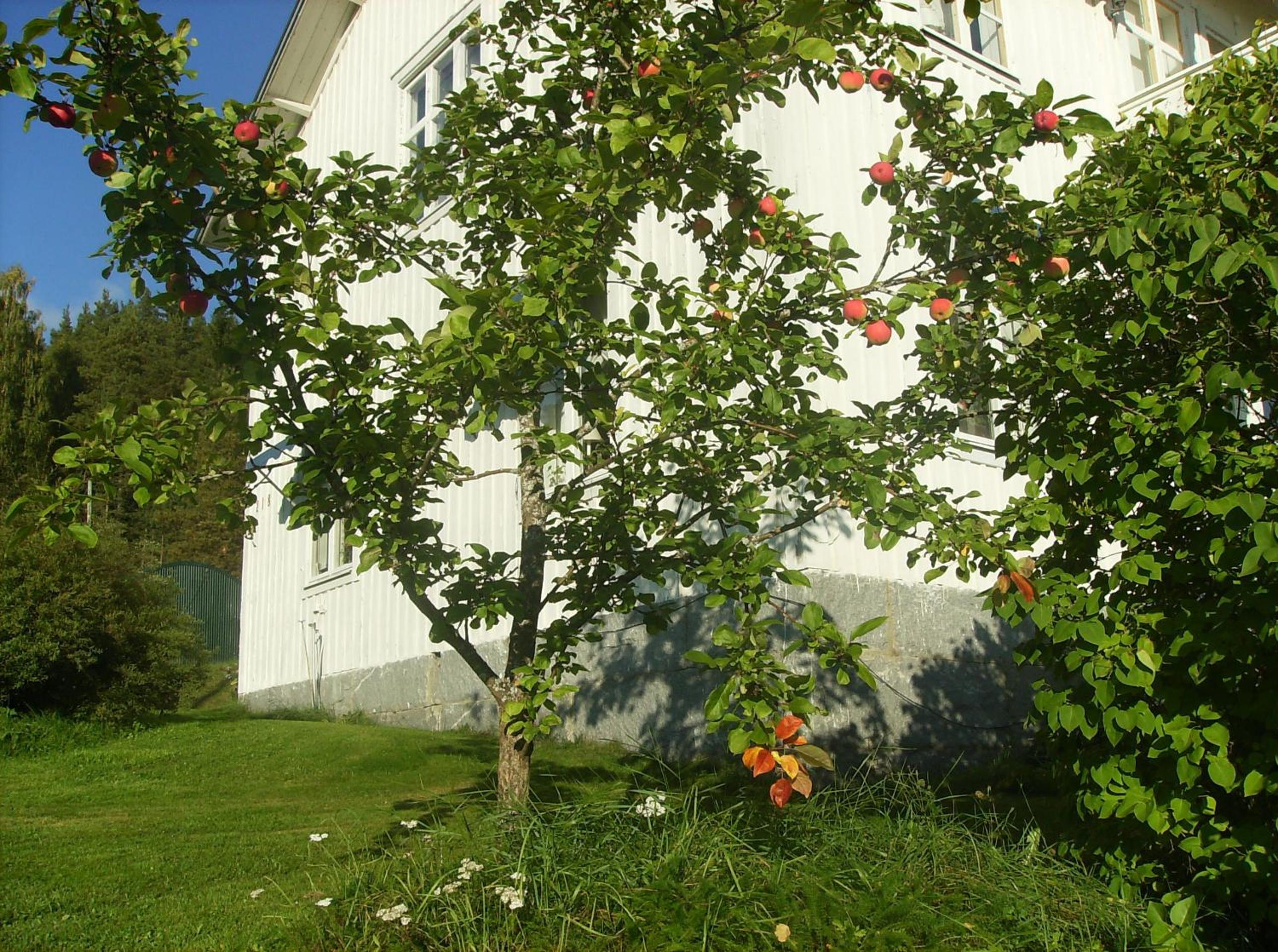 Photo 16